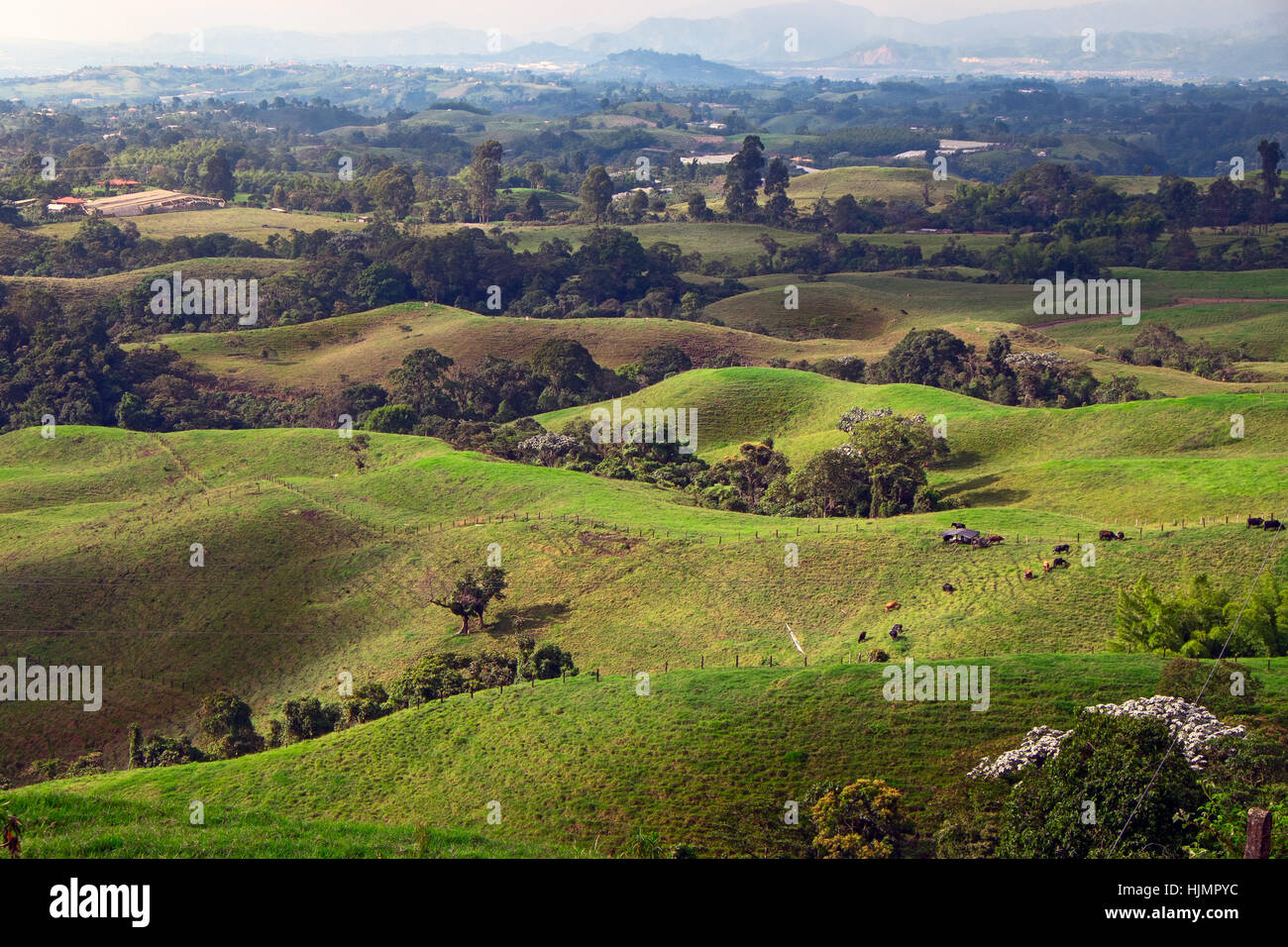 Hilly Landscape in Quindío (Coffee Region), Colombia Stock Photo