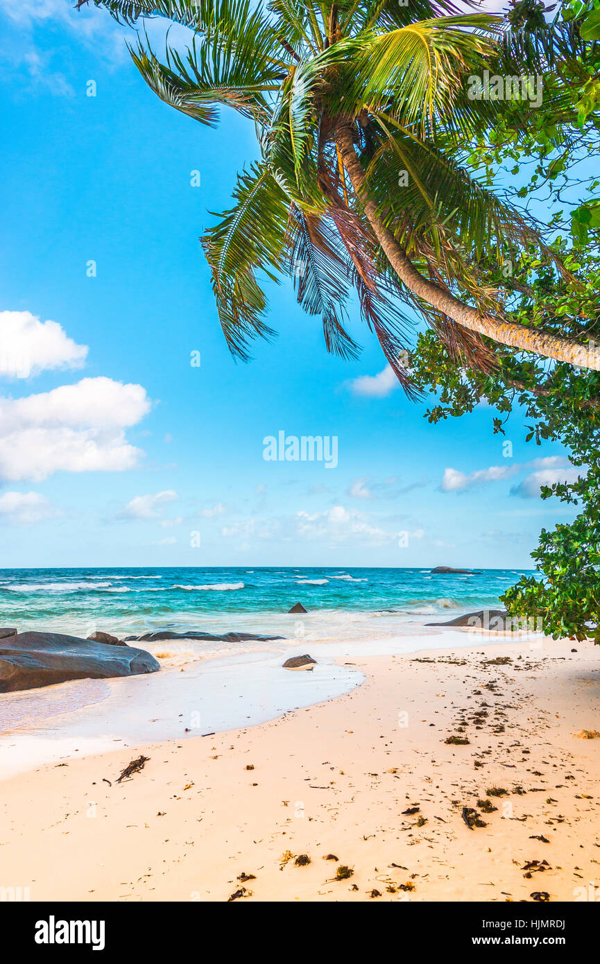 Beach of the Seychelles, Island Mahé, coast at Beau Vallon Stock Photo