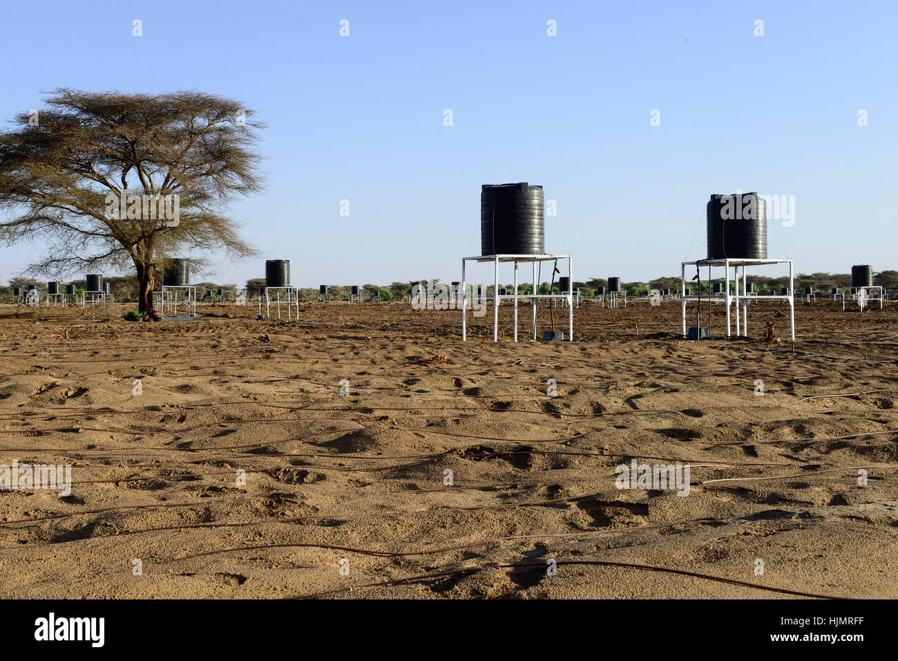 KENYA, Lodwar, 65 accres NAPUU drip irrigation scheme by the county government, the water is