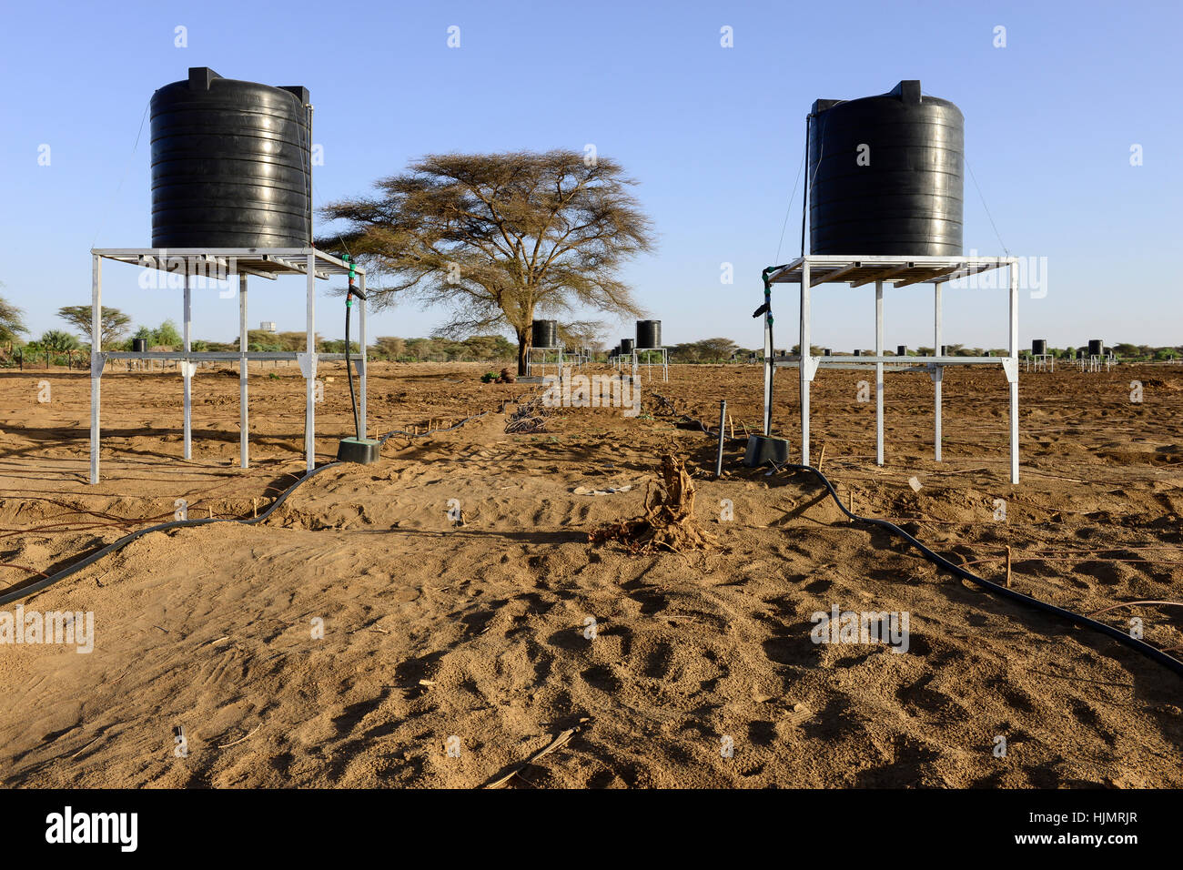 KENYA, Lodwar, 65 accres NAPUU drip irrigation scheme by the county government, the water is