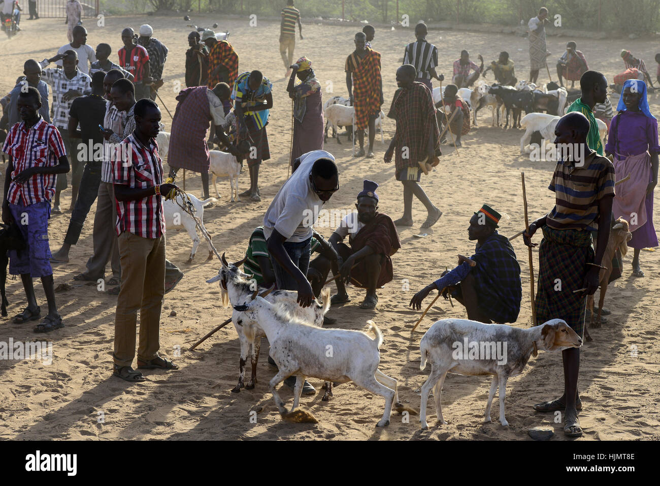 KENIA Turkana, Lodwar, cattle market, herder buy and sell goats / Turkana mit Ziegen auf dem Viehmarkt Stock Photo