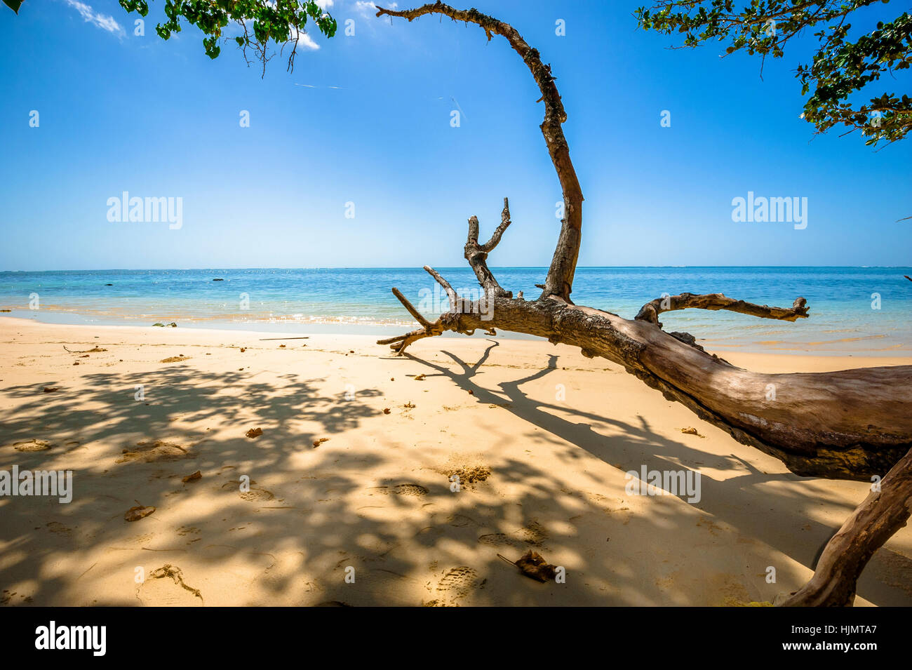 Beach of the Seychelles, Island Mahé, Beach Anse aux Pins Stock Photo