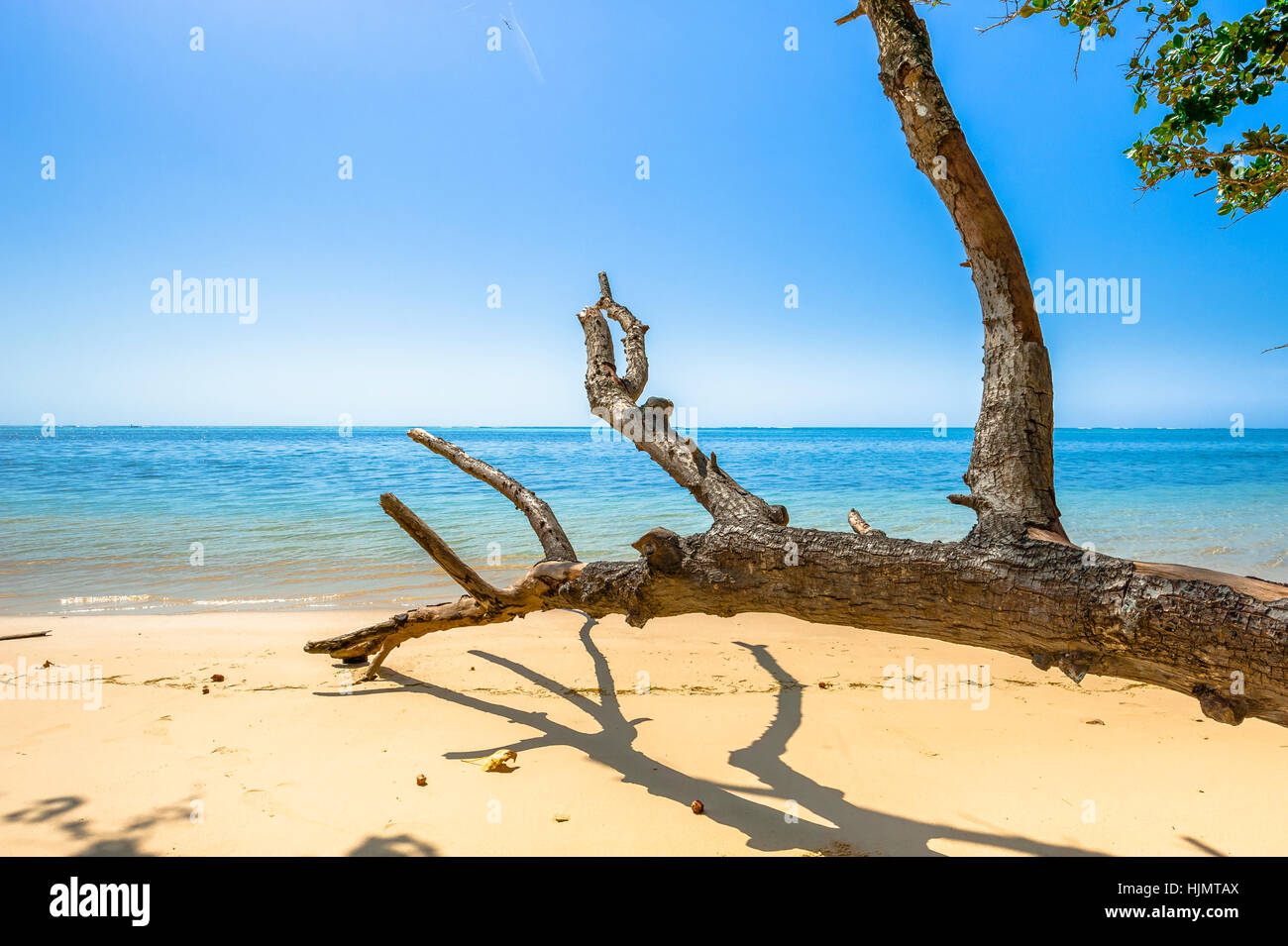 Beach of the Seychelles, Island Mahé, Beach Anse aux Pins Stock Photo