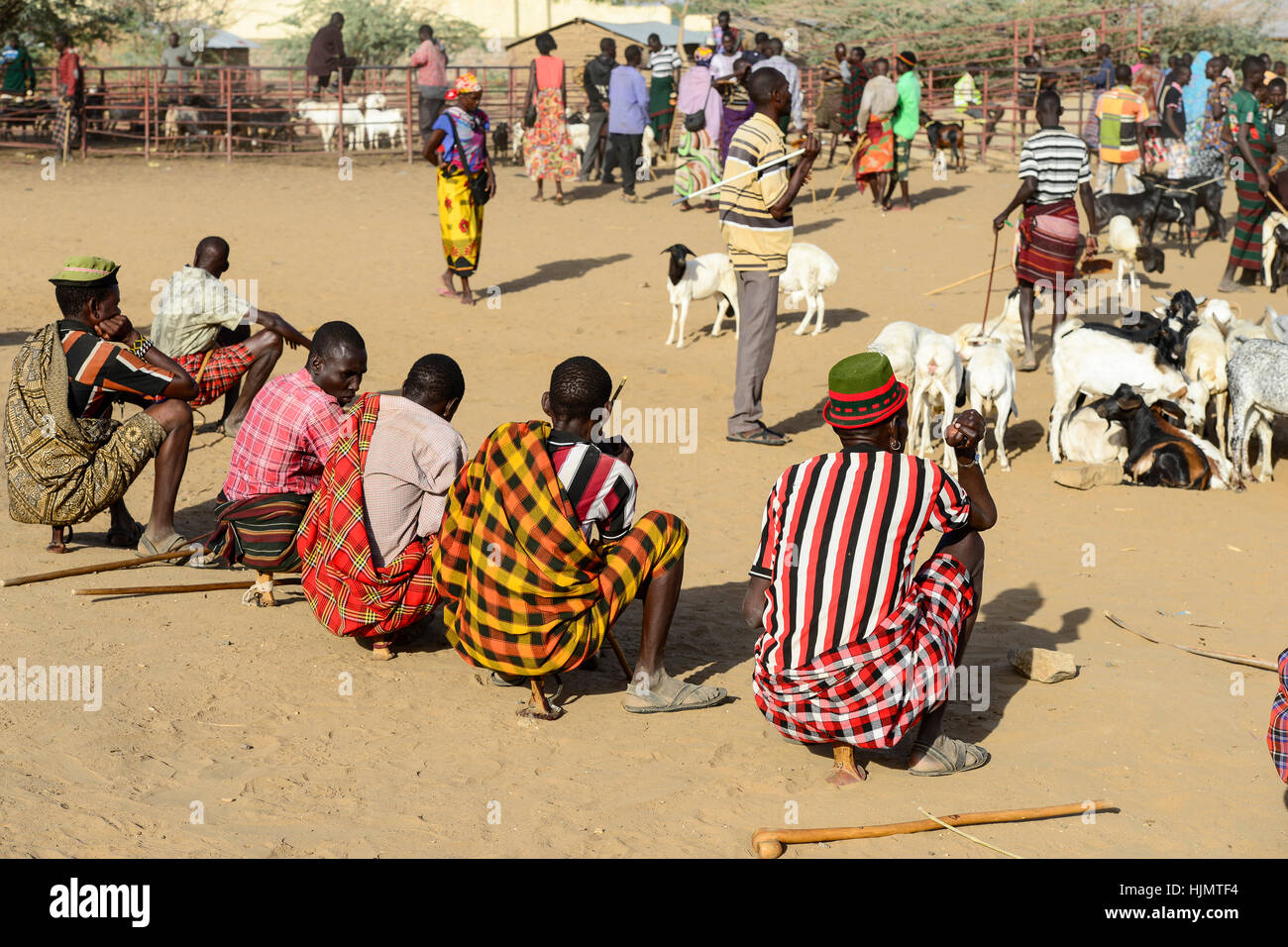 KENIA Turkana, Lodwar, cattle market, herder buy and sell goats, man sit on their small wooden chairs / Turkana mit Ziegen auf dem Viehmarkt, Turkana Maenner sitzen auf kleinen Holz Hockern Stock Photo