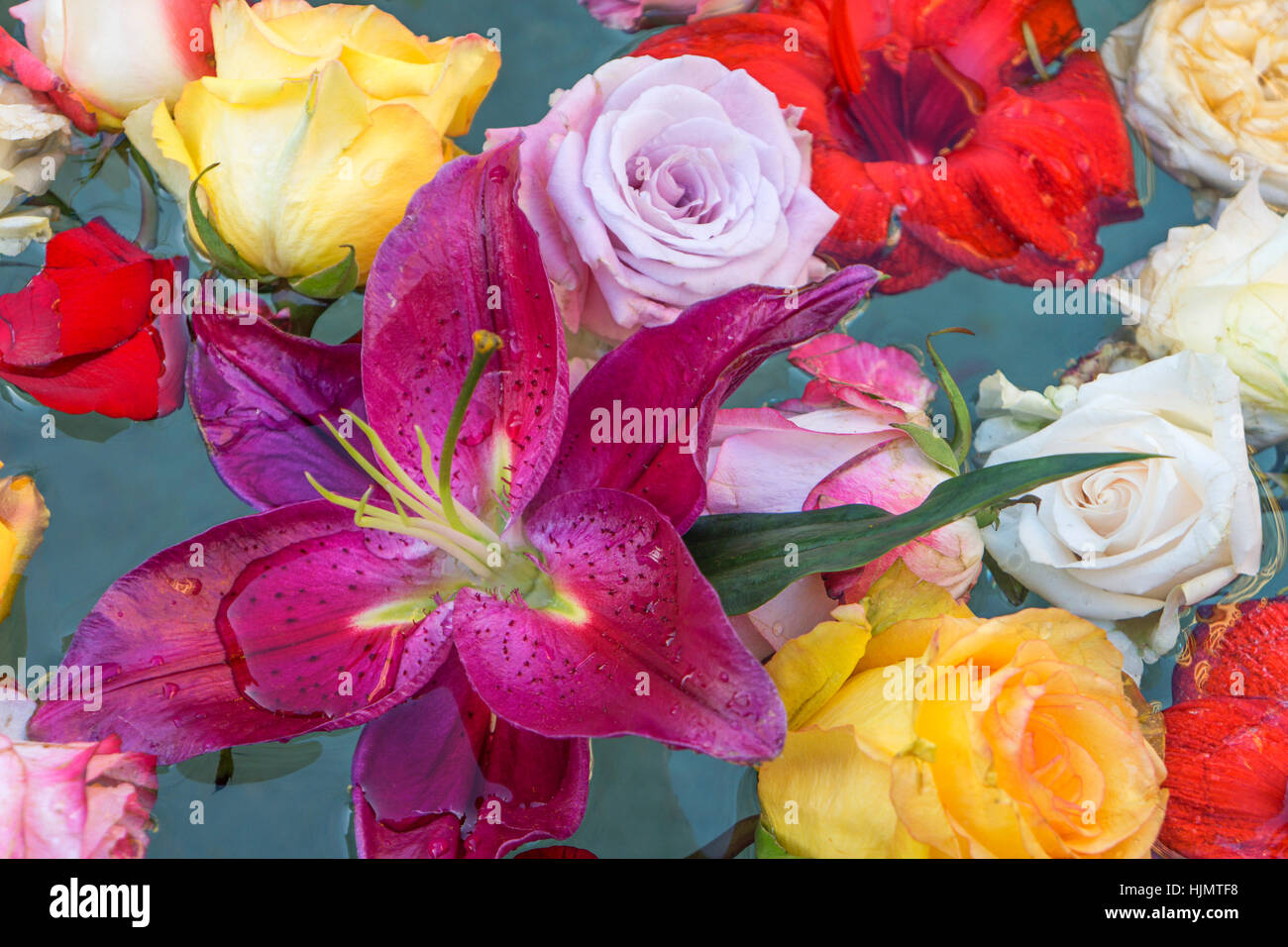 Colorful flowers in fountain, Zurich, Switzerland Stock Photo Alamy