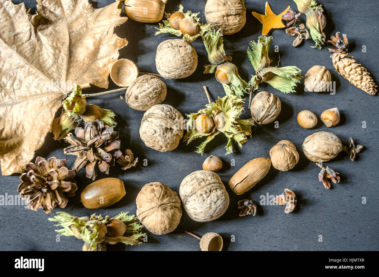 Autumn harvest of hazelnuts with dry peduncle,nuts,pine cones,acorns