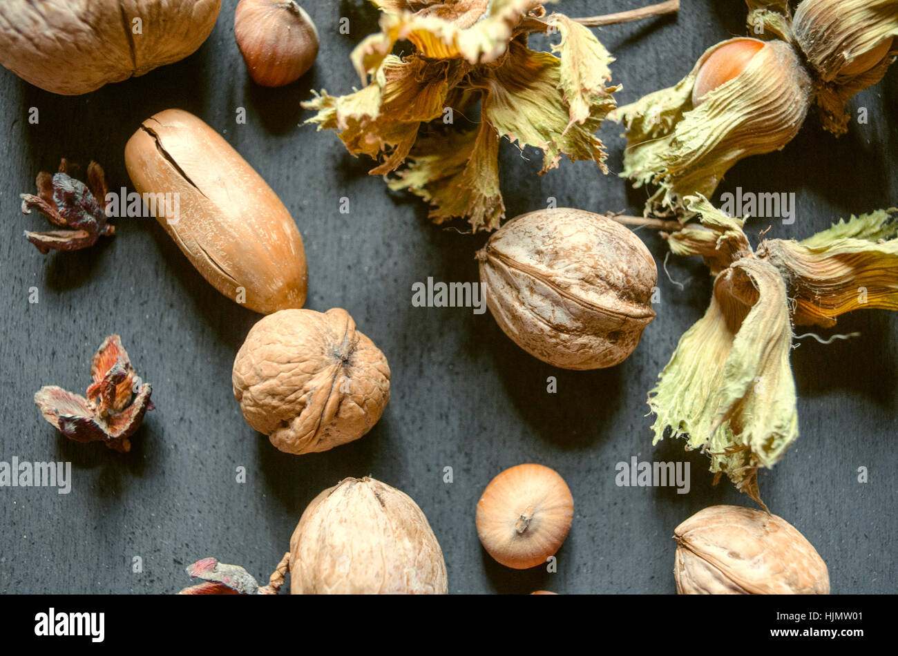 Acorns,nuts,hazelnuts with dry peduncle on black background Stock Photo