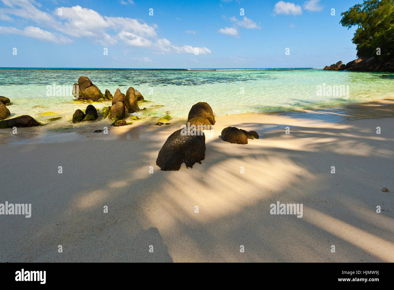 Beach of the Seychelles, Island Mahé, Beach Anse Forbans Stock Photo