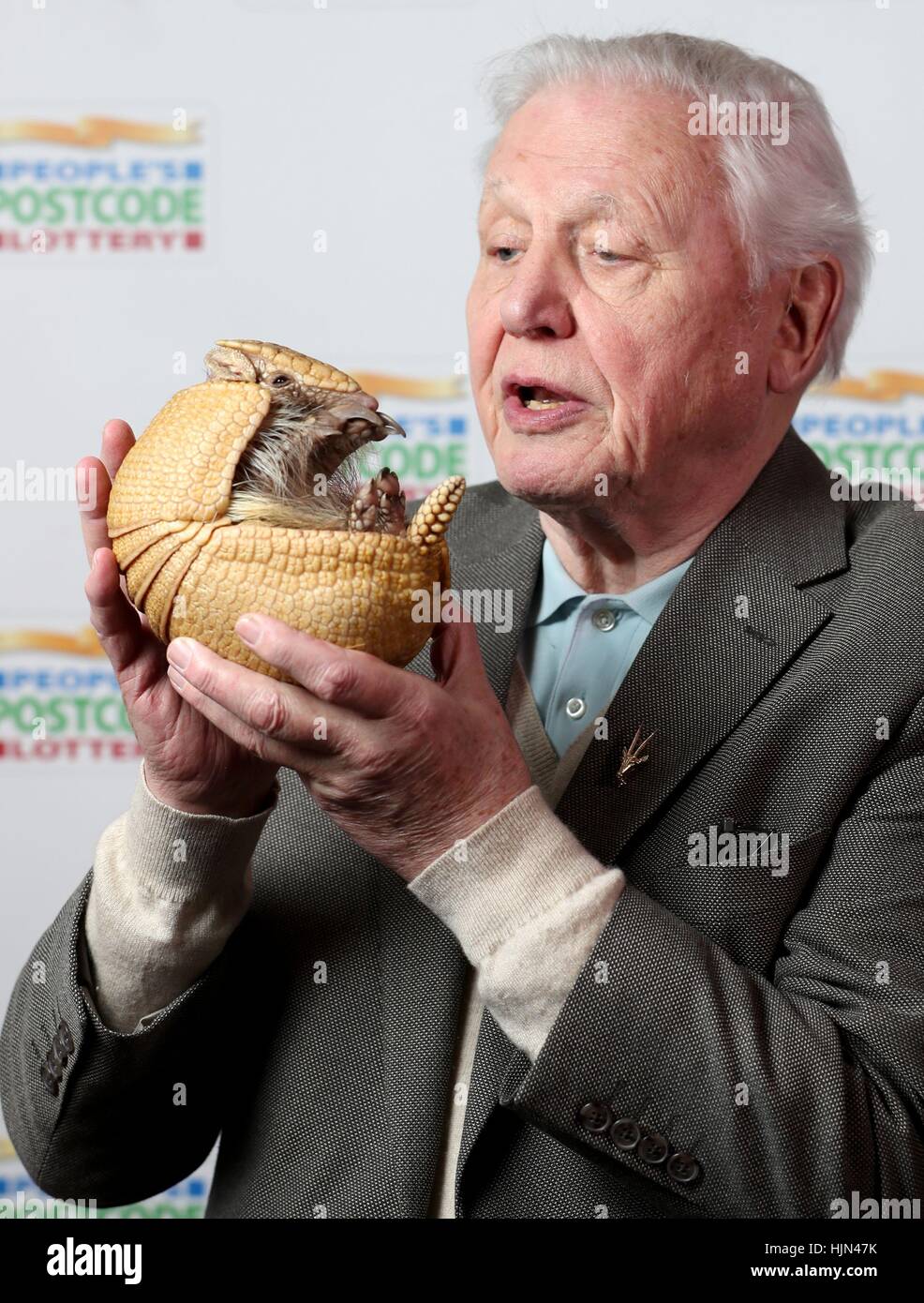 Sir David Attenborough holds 'Inti', an armadillo from Edinburgh Zoo, before receiveing a &Acirc;£250,000 cheque from the People's Postcode Lottery for the charity Fauna & Flora International of which he is Vice-President, at Prestonfield House, Edinburgh. Stock Photo
