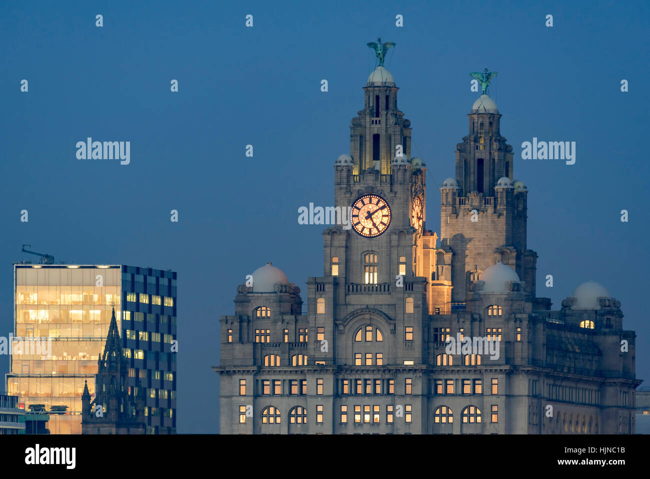 Royal Liver building in evening light. Stock Photo