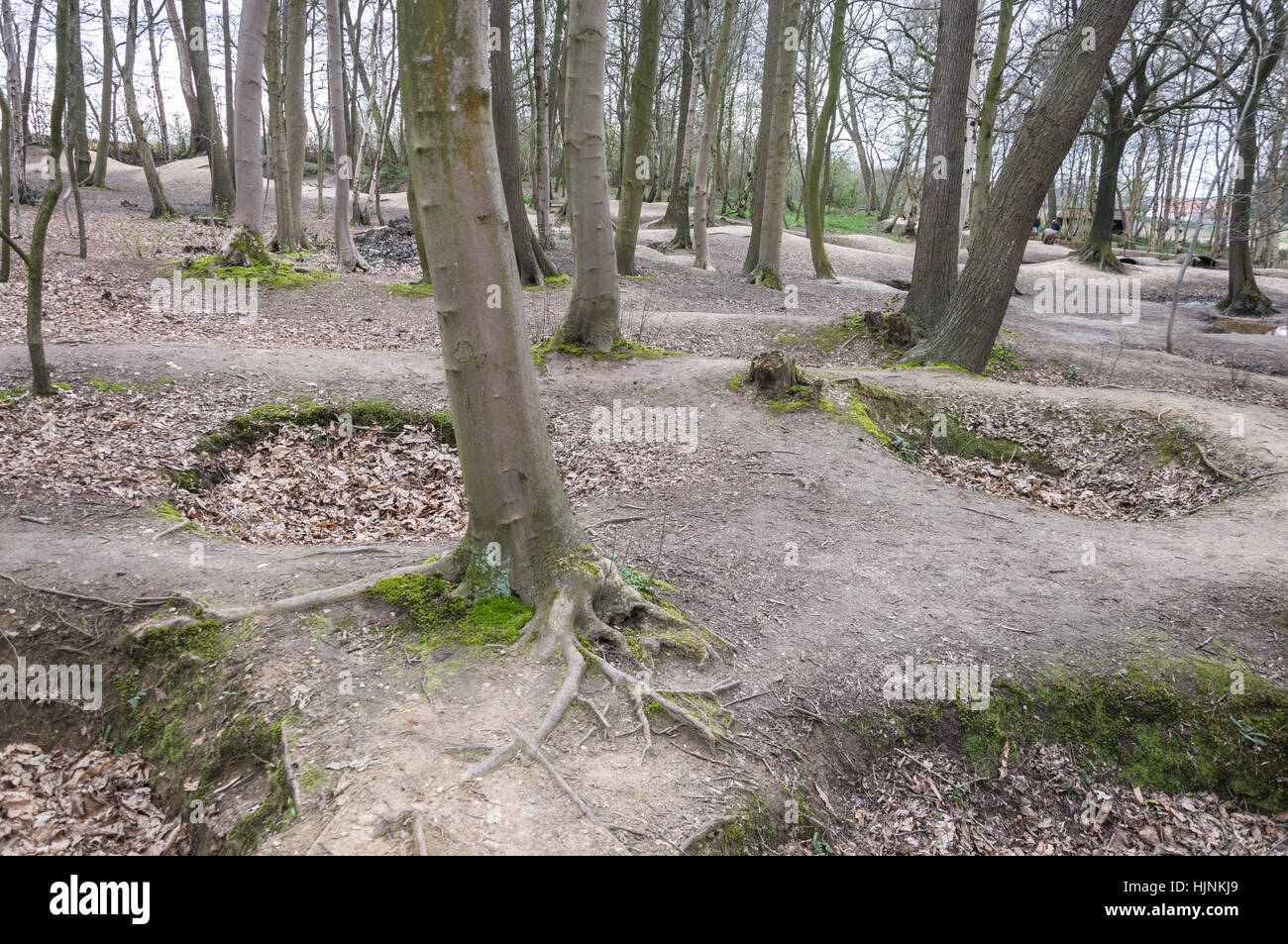 Hill 62 WW1 Battlefield Trenches at Sanctuary Wood Stock Photo
