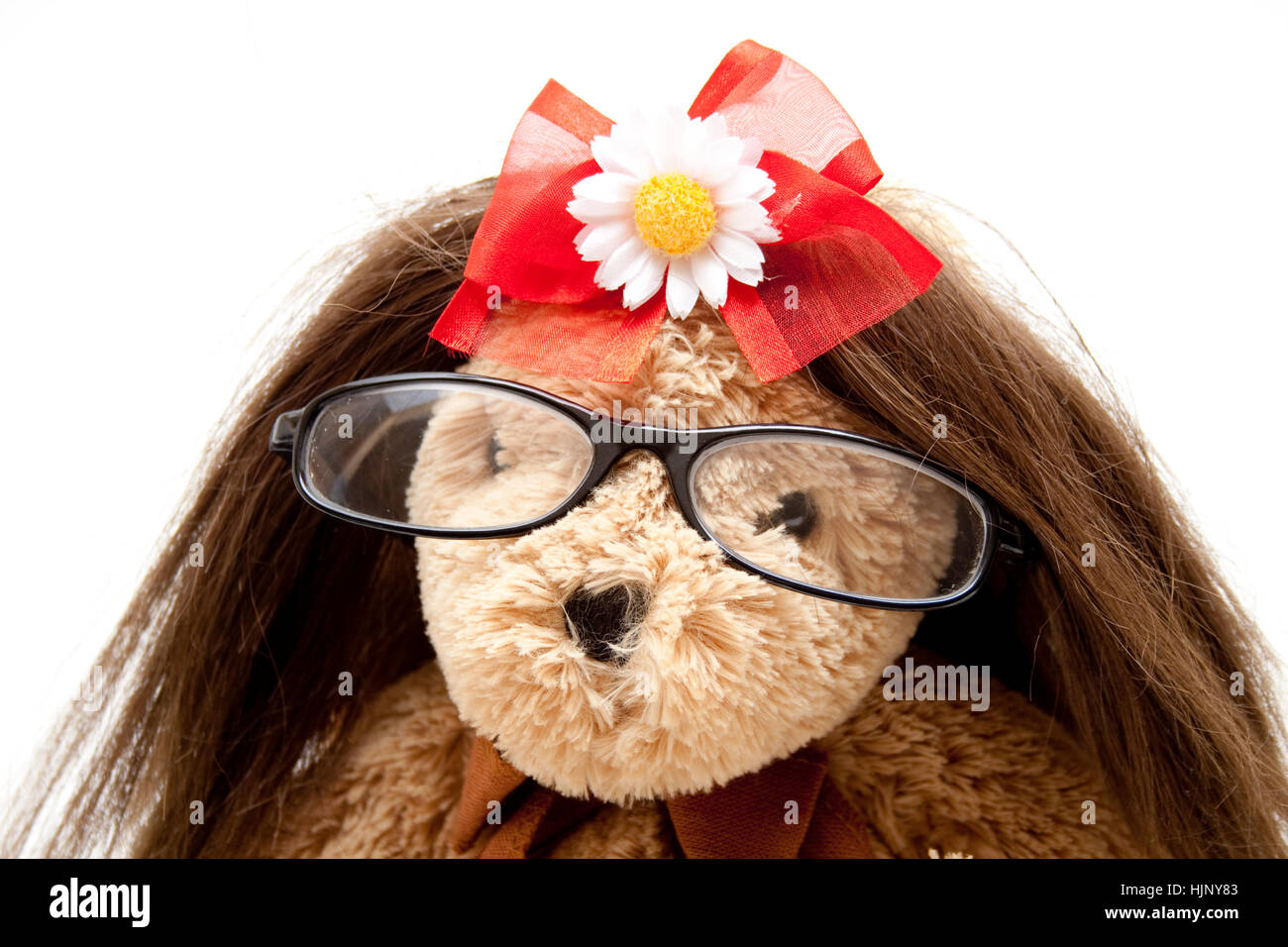 bear, pet, hairs, teddy bear, teddybear, spectacles, glasses