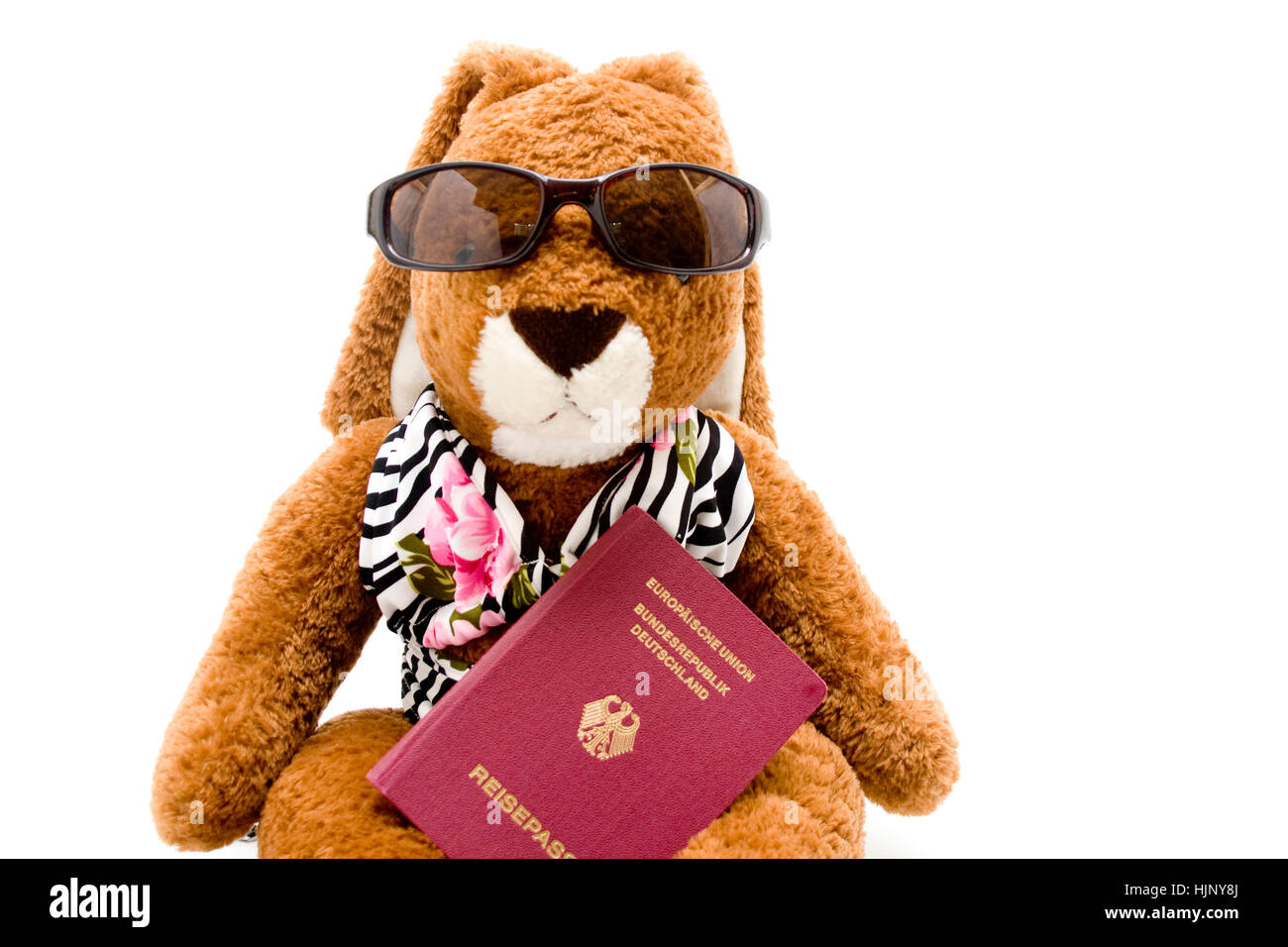 rabbit with passport Stock Photo Alamy