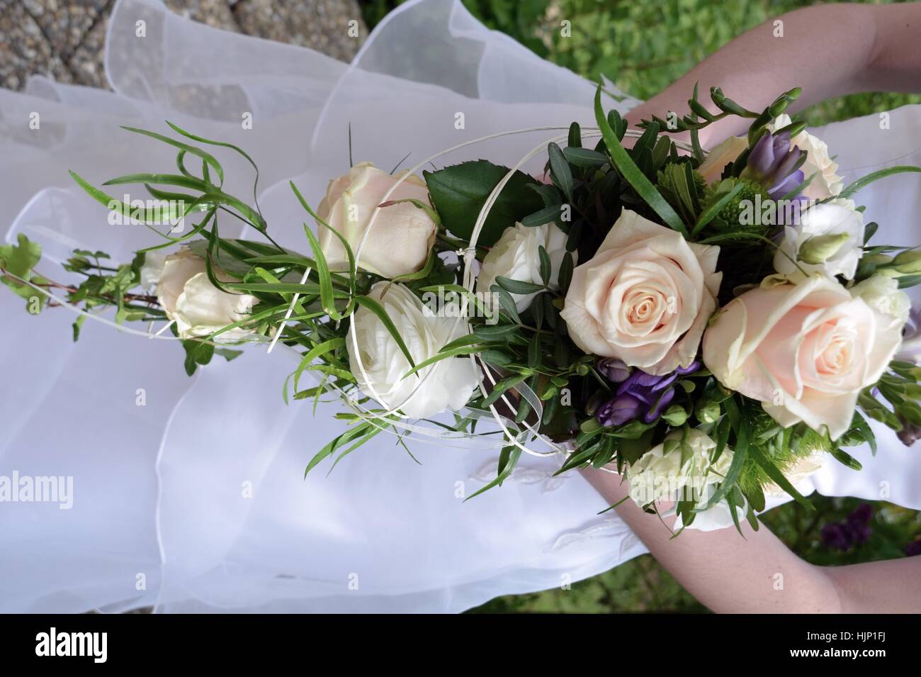 green, blank, european, caucasian, roses, poor man, bridal bouquet, wedding Stock Photo