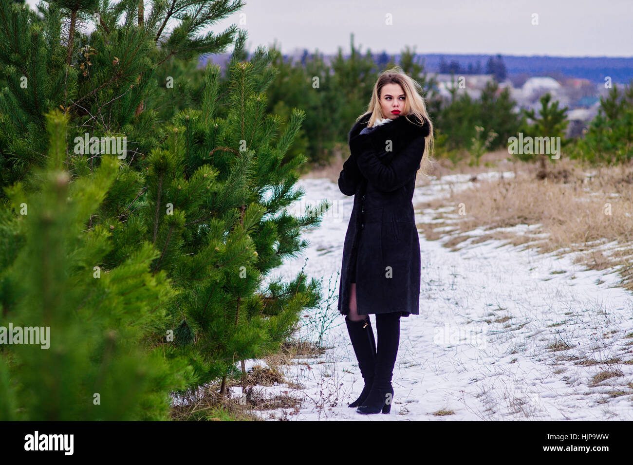 Girl posing in pines Stock Photo