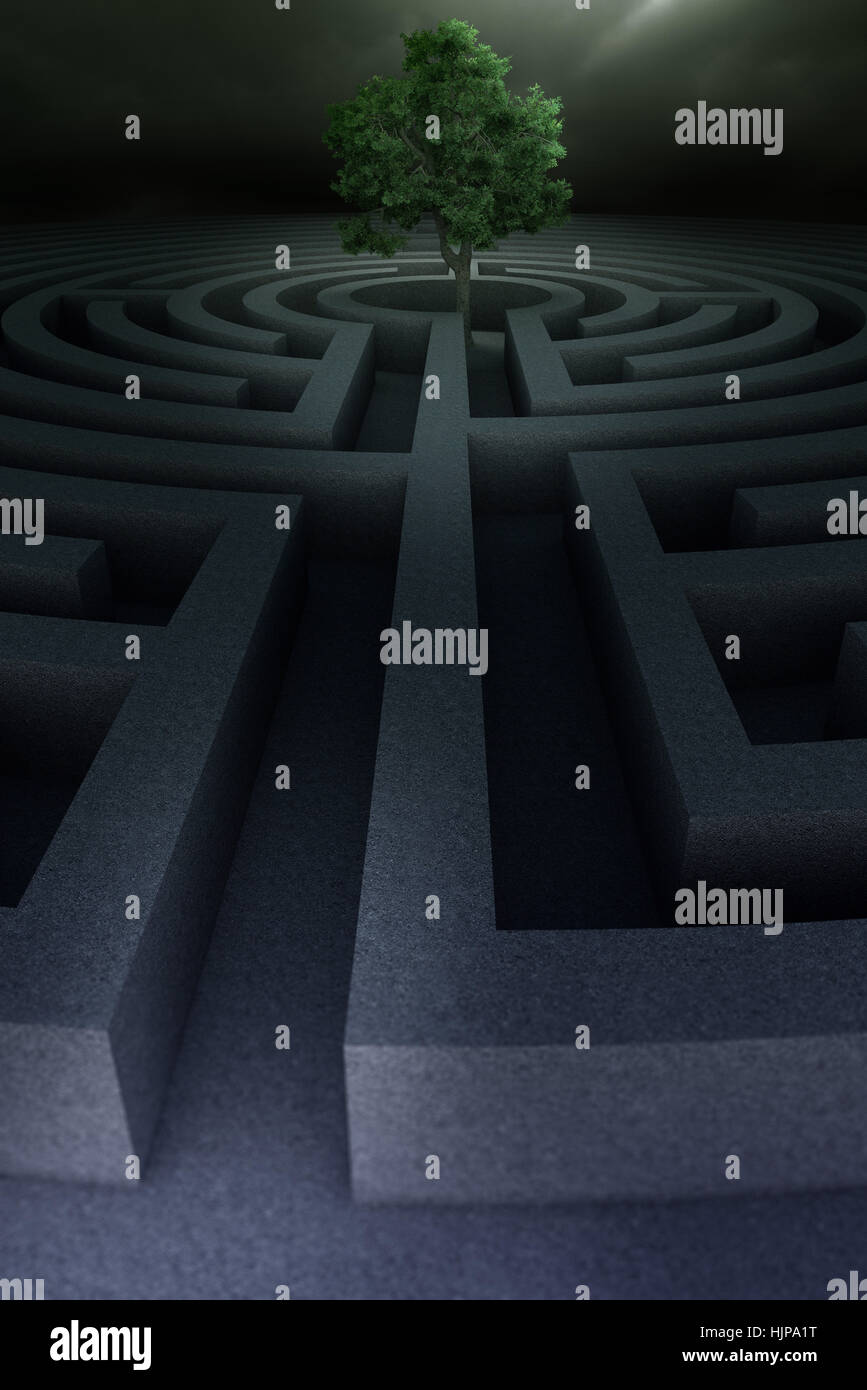 corridor, model, design, project, concept, plan, draft, tree, labyrinth ...