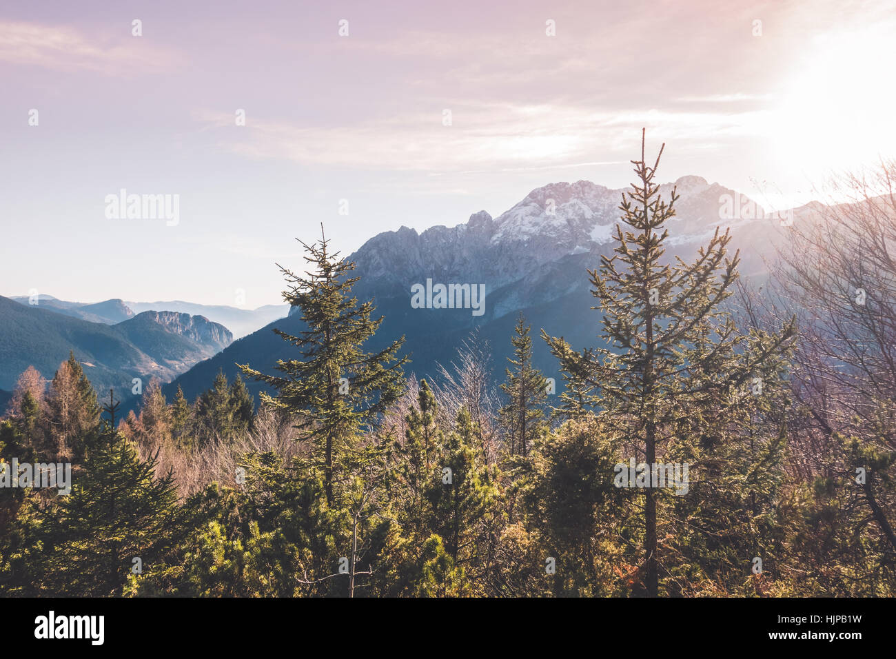 Mountain landscape and forests at sunset Stock Photo - Alamy