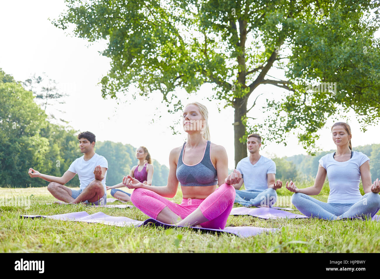Group of people meditating in the park for welness and good health Stock Photo
