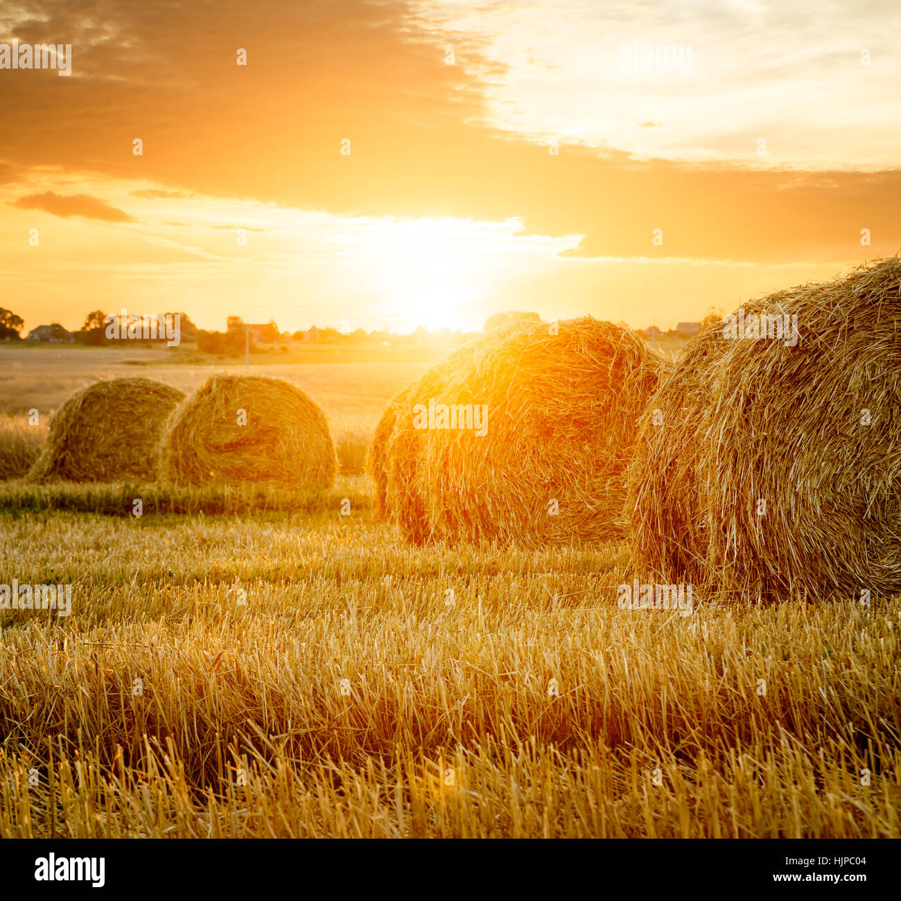 Summer Farm Field with Hay Bales at Sunset Stock Photo - Alamy