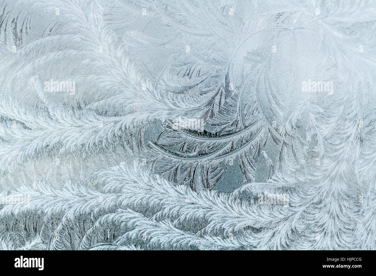 Frosty patterns on the window Stock Photo - Alamy