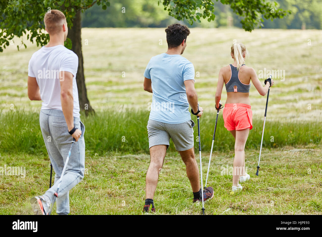 People nordic walking in the nature with persistence in their hiking tour Stock Photo