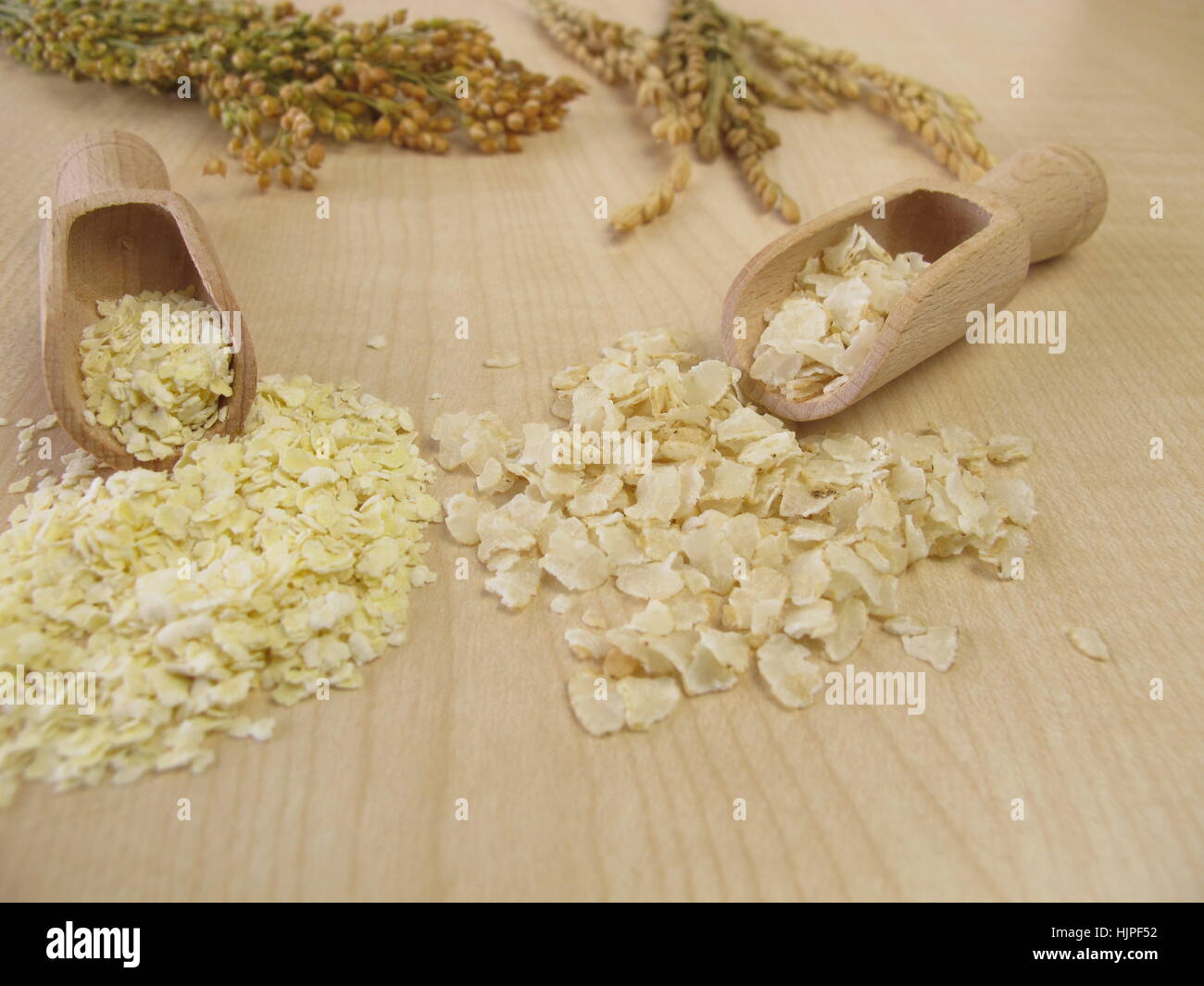 millet, rice, plant, natural product, millet, glutenfree, nutrition