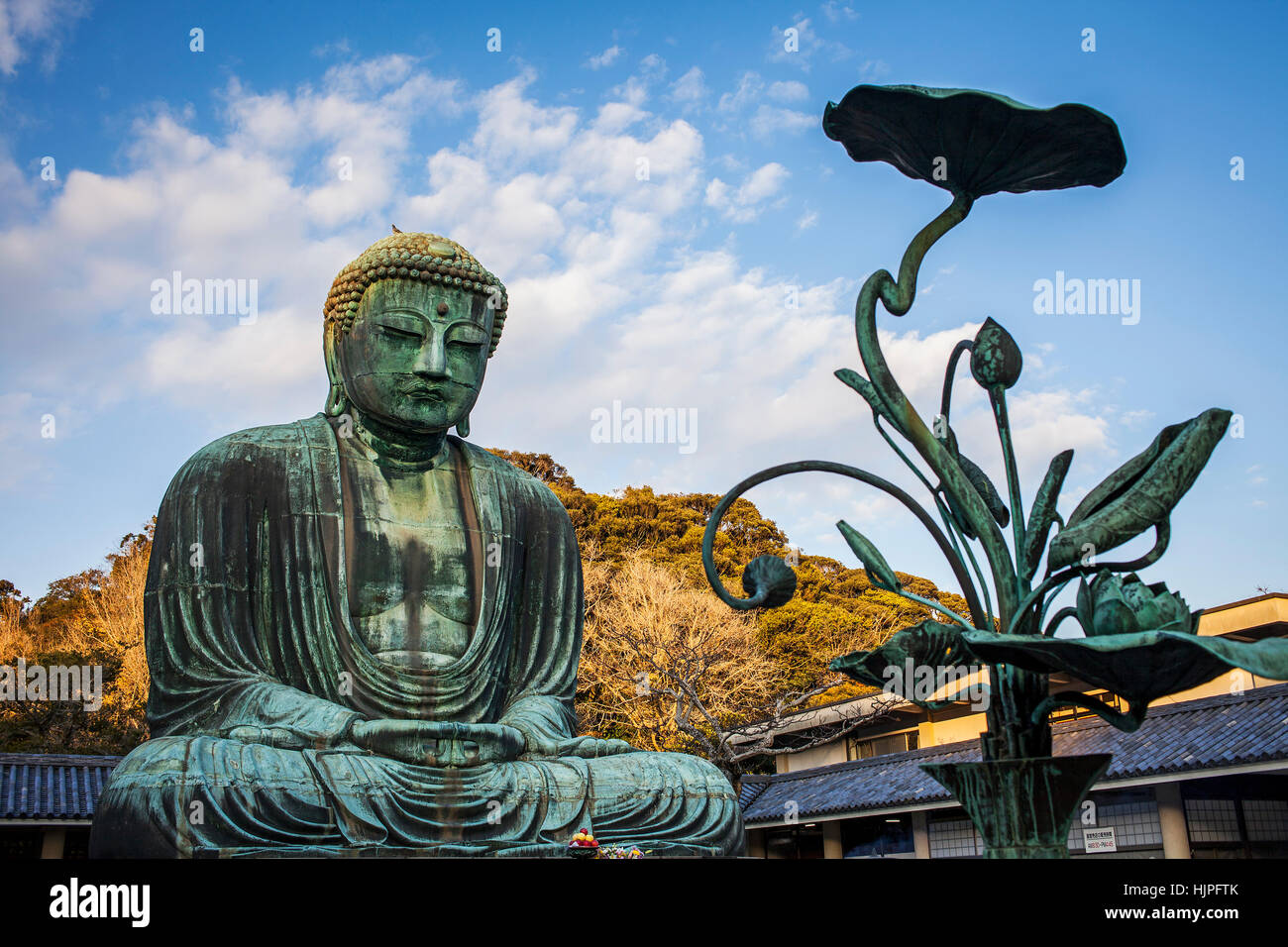 The Daibutsu (bronze Great Buddha). Kotoku-in Temple, Kamakura, Japan Stock Photo