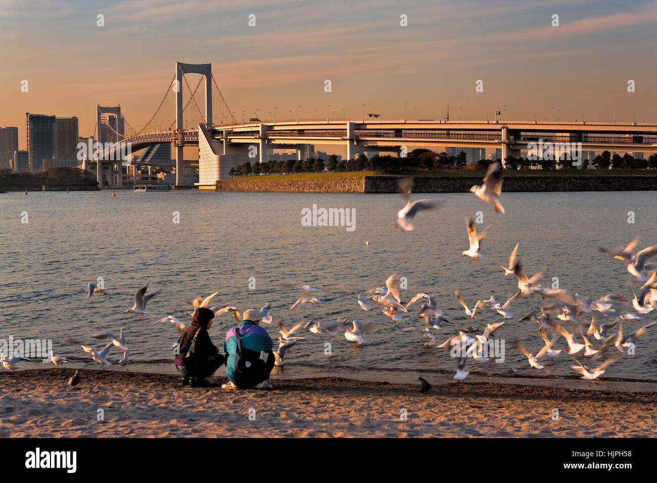 Odaiba (artificial island).Kaihin Park. In background Rainbow Bridge