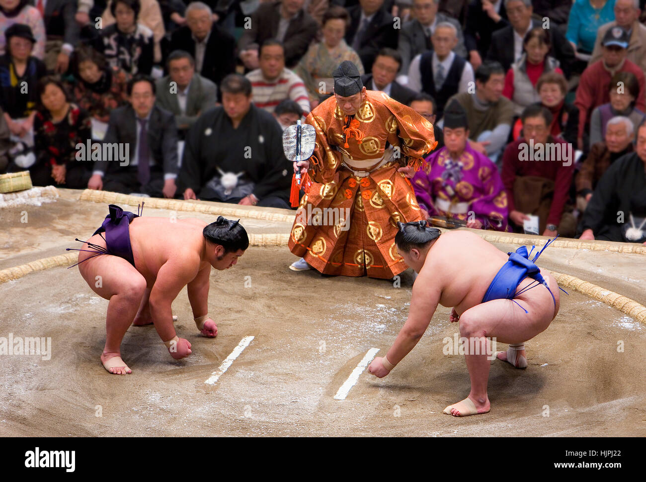 Что такое сумо. Японские борцы сумо. Сумо боевые искусства Японии.