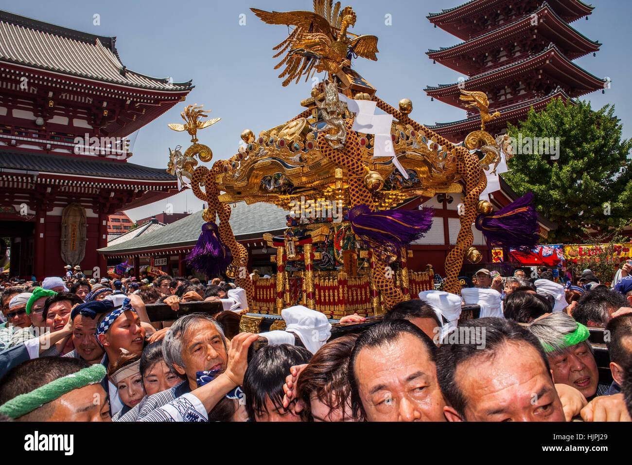 Sanja Matsuri Festival Sensoji Temple Asakusa Jinja Asakusa Tokyo sanja-matsuri-festival-sensoji-temple-asakusa-jinja-asakusa-tokyo