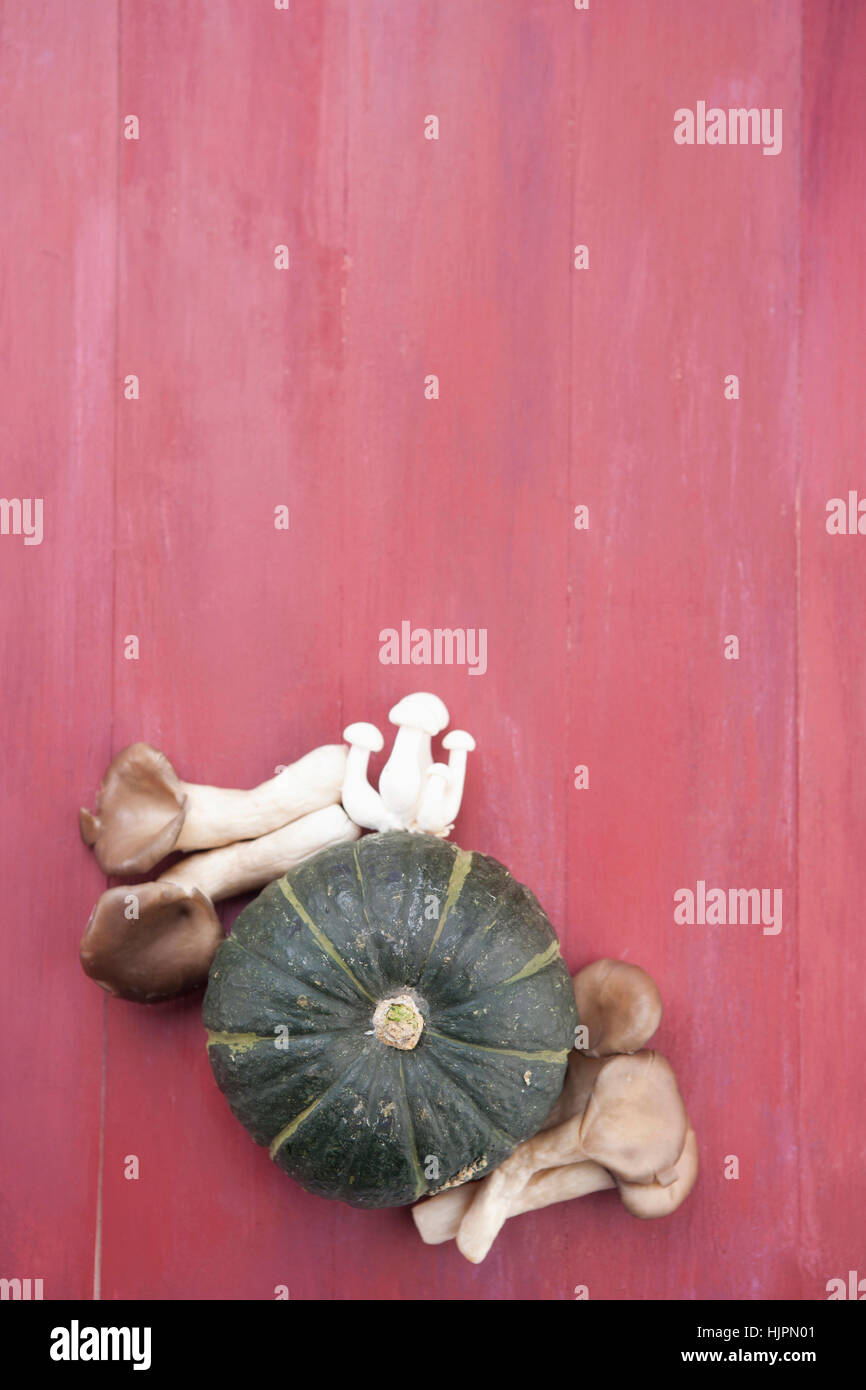 cut out concepts Stock Photo - Alamy