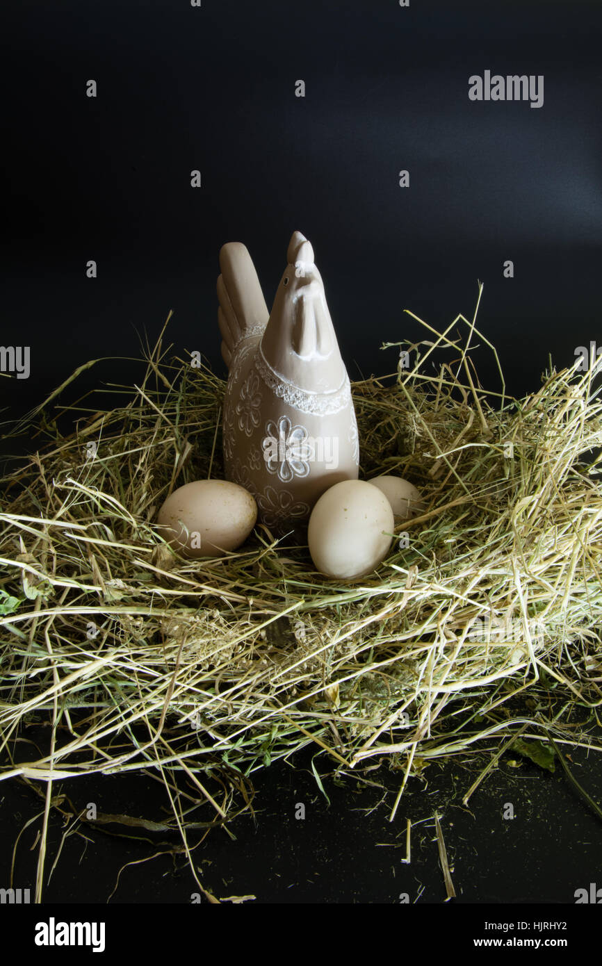 Chicken eggs hatch in the nest. Chicken hen Stock Photo Alamy