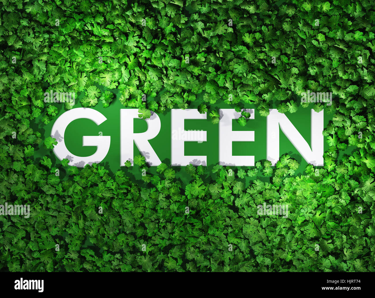 Как сделать текст зеленым. Green слово. Слово зеленый. Word зеленый. Картинка со словом зеленый.