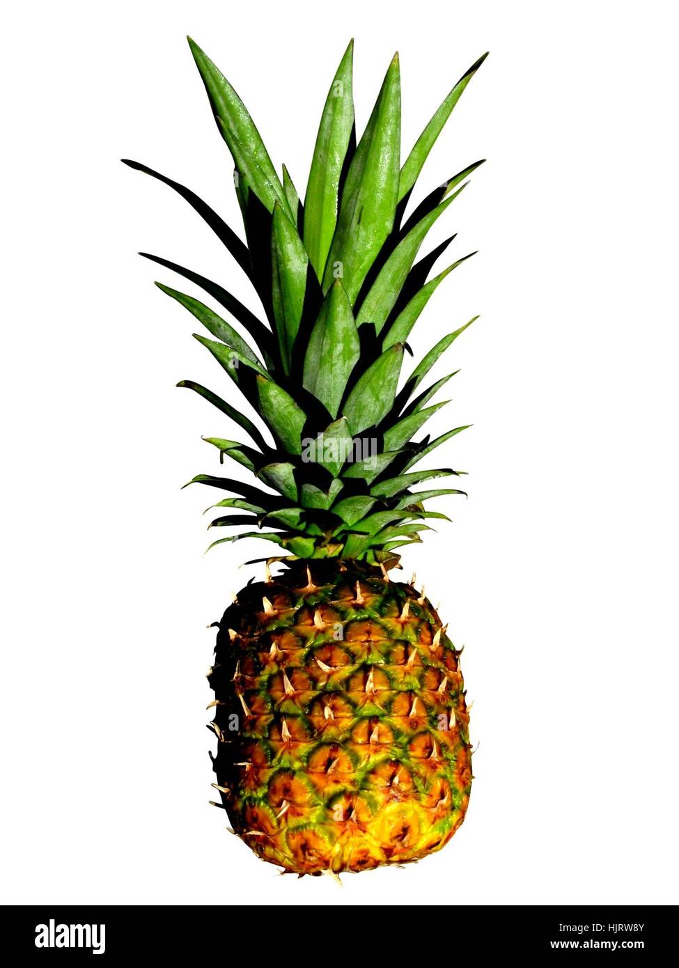 Nubby texture hi-res stock photography and images - Alamy