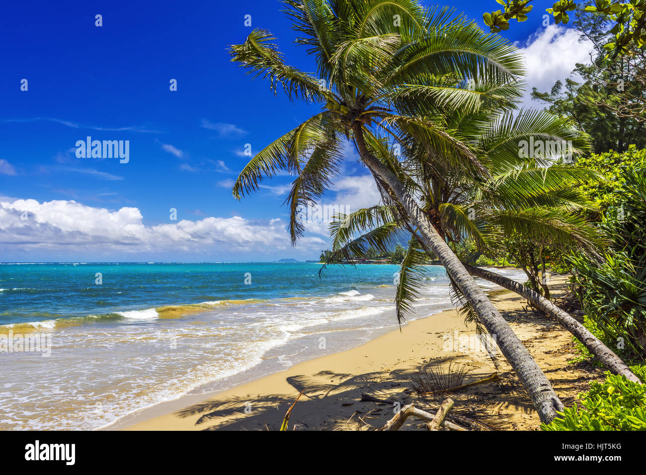 Punaluu Beach on Oahu Island, Hawaii, USA Stock Photo Alamy