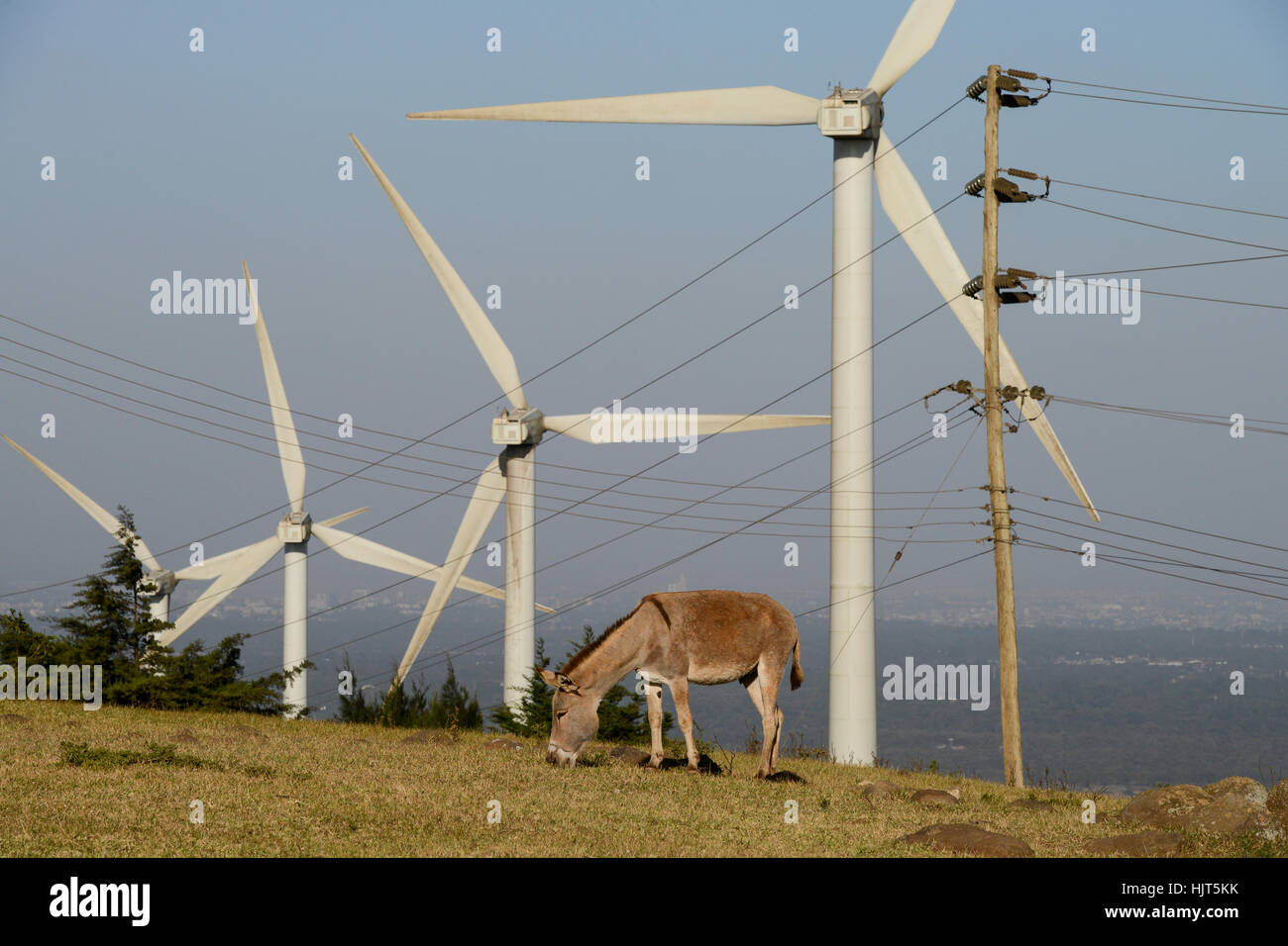 KENYA, Nairobi, Ngong Hills, 25,5 MW Wind Power Station with Vestas and