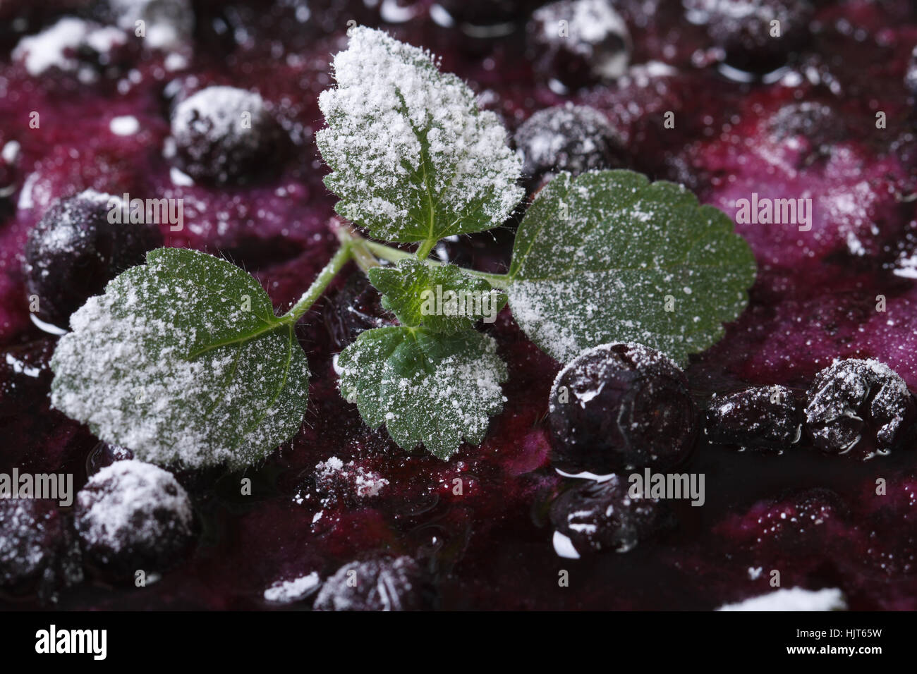 texture blueberry pie with mint and powdered sugar horizontal macro Stock Photo