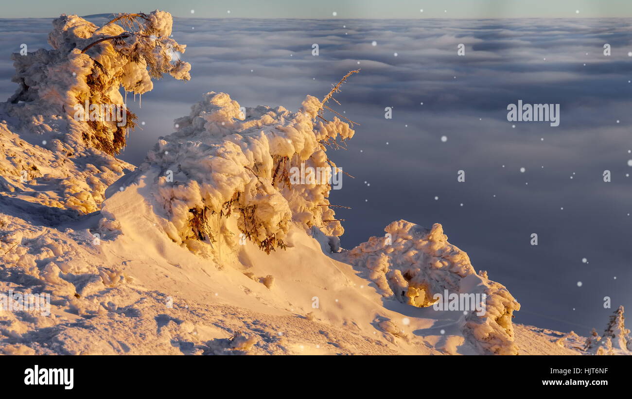 Winter in countryside Stock Photo - Alamy