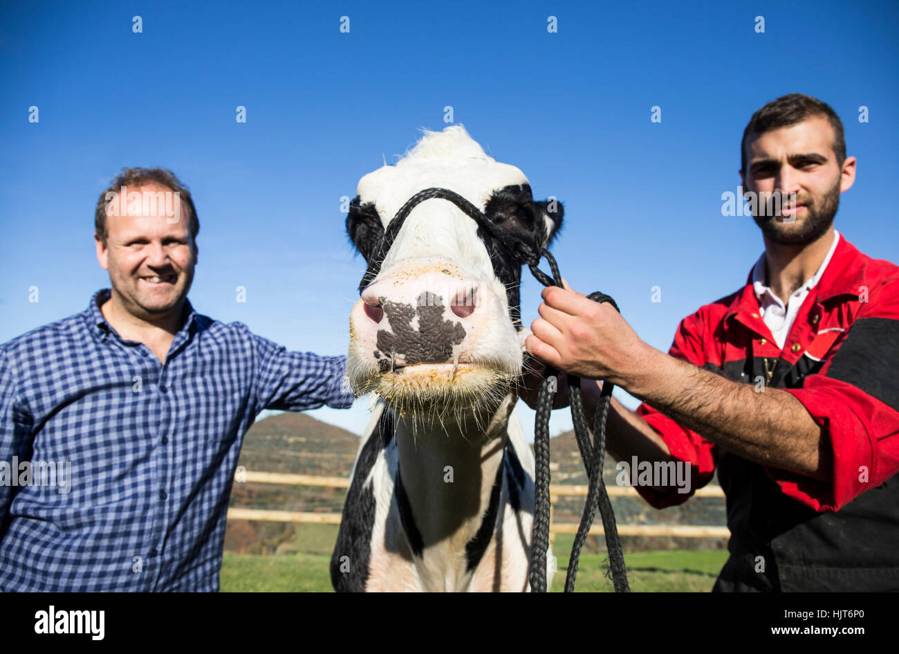 Portrait of two farmers with cow Stock Photo