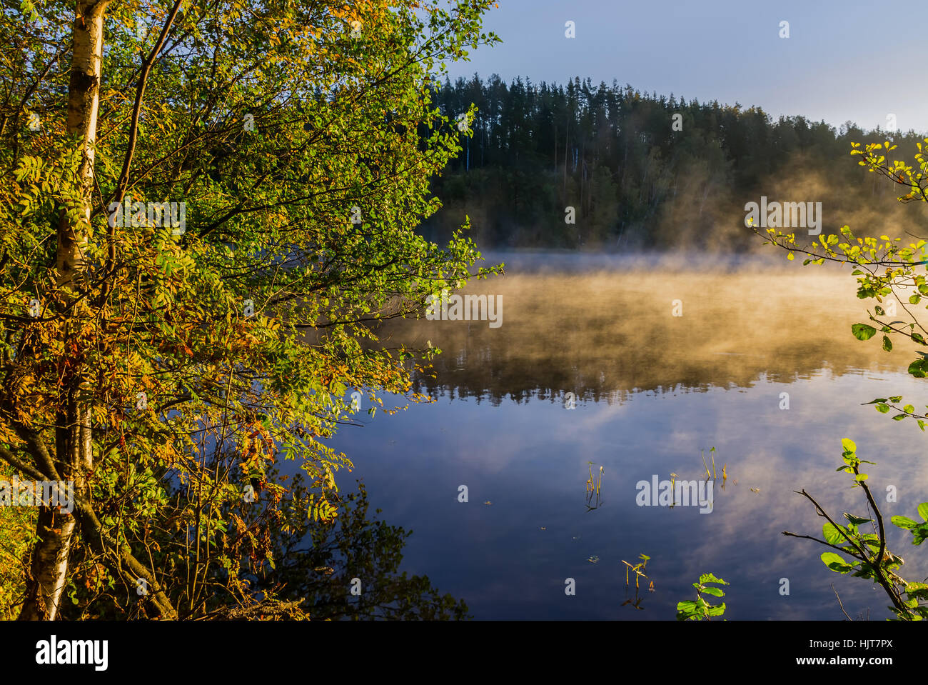 Morning mist on forest lake at dawn Stock Photo - Alamy