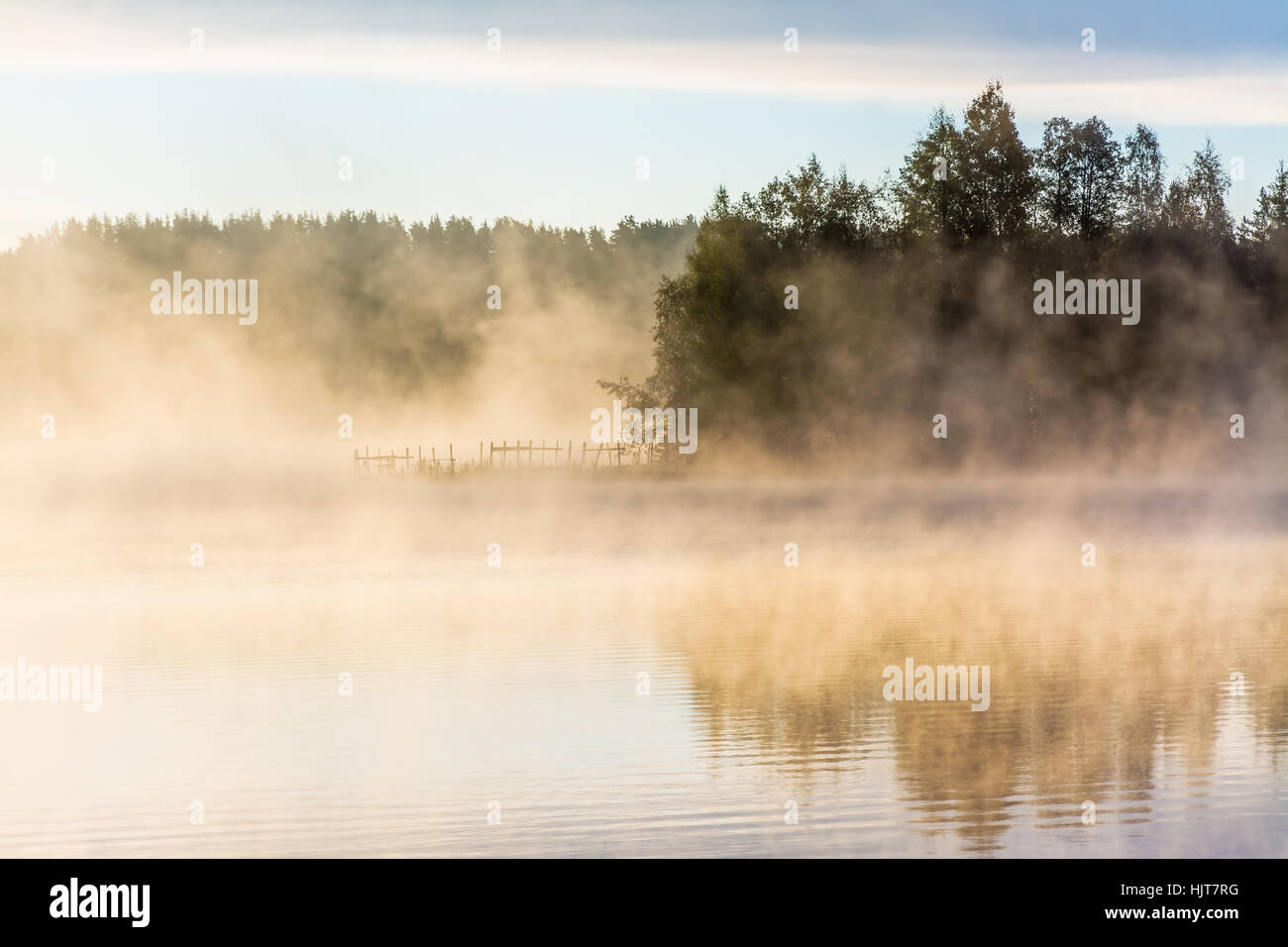 Morning mist on forest lake at dawn Stock Photo - Alamy