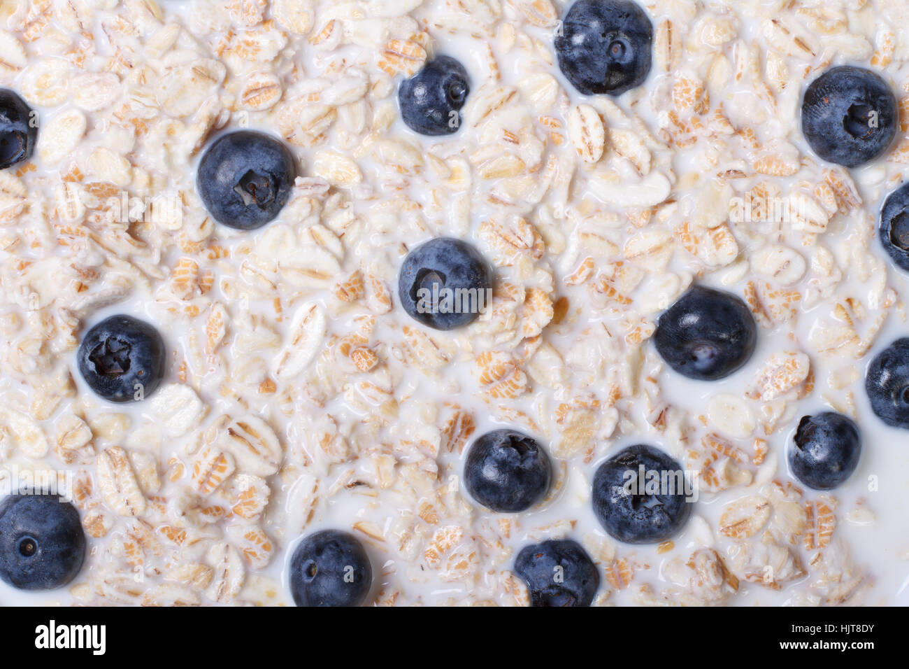 background of oatmeal with milk and blueberries macro horizontal. Stock Photo