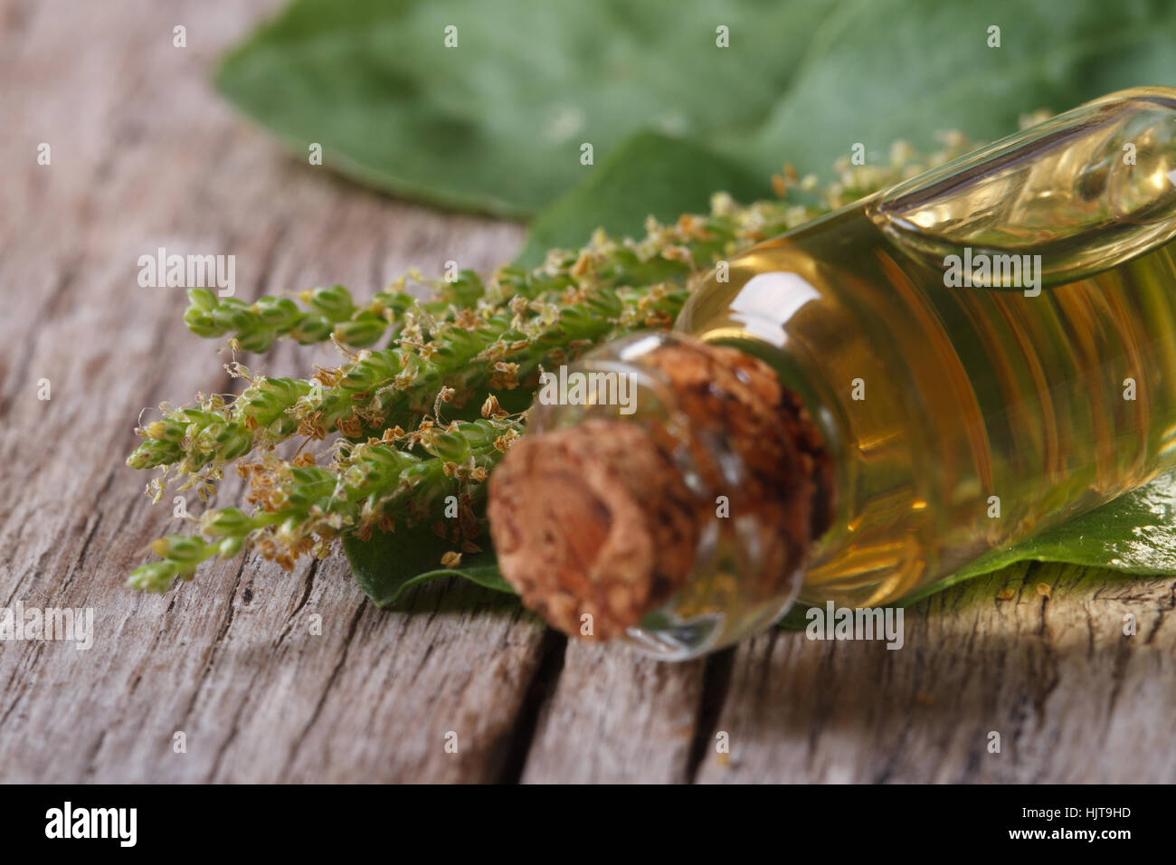 Macro plantain extract in glass bottle on a wooden background horizontal Stock Photo