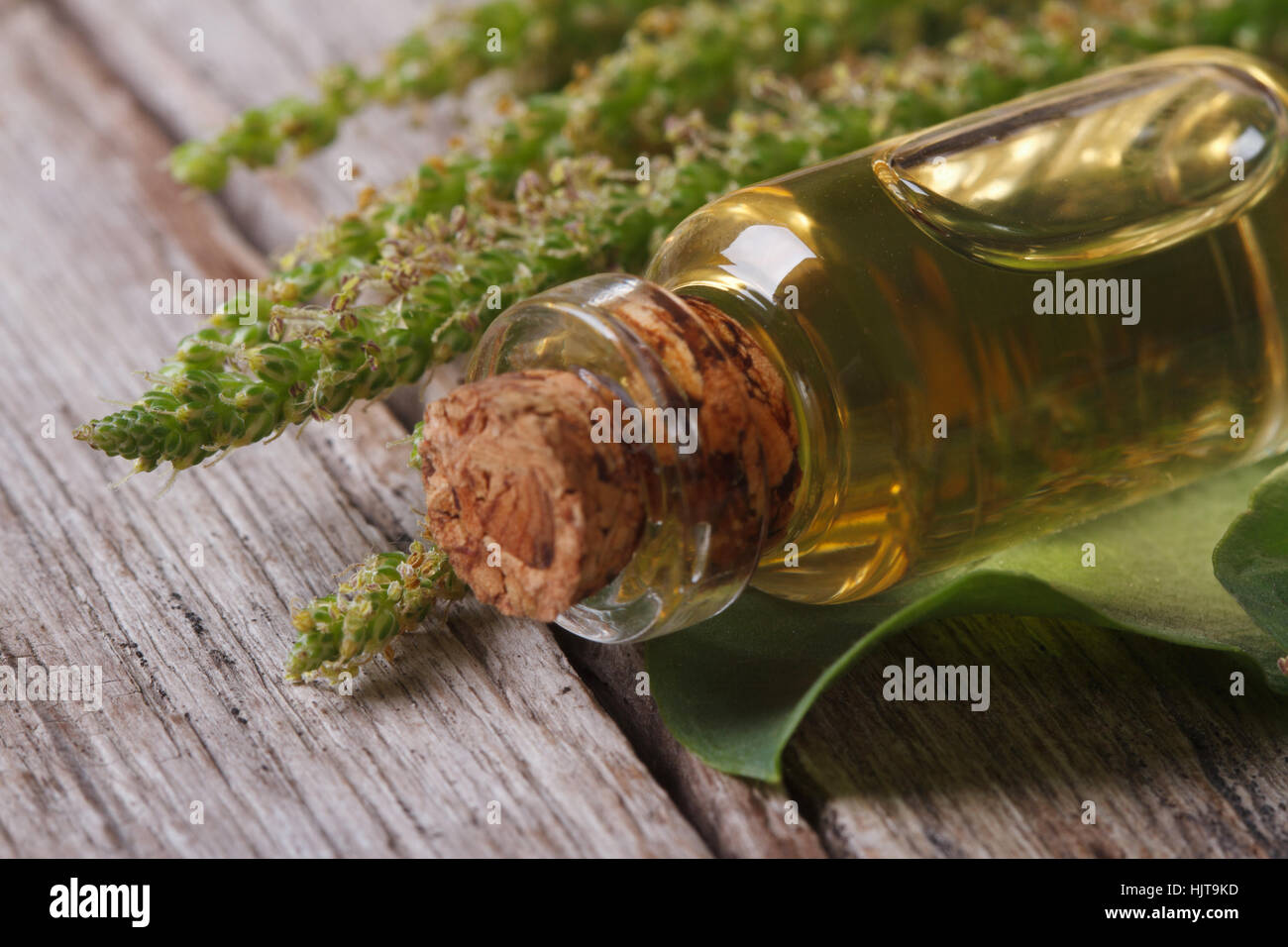 Extract of plantain in a glass bottle on a wooden table macro horizontal Stock Photo