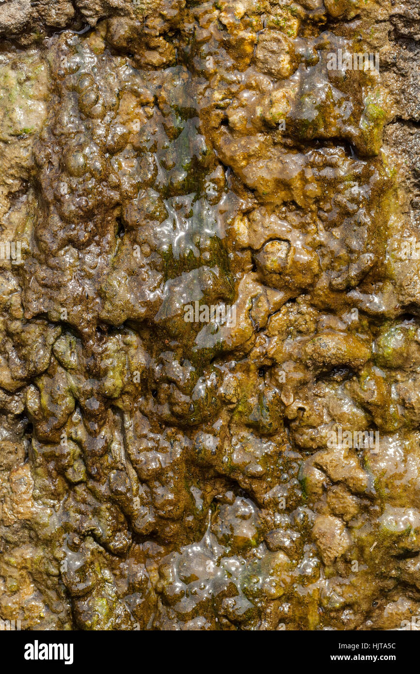 Long Term Rocks slippery rocks under the influence of long-term water, note shallow ...