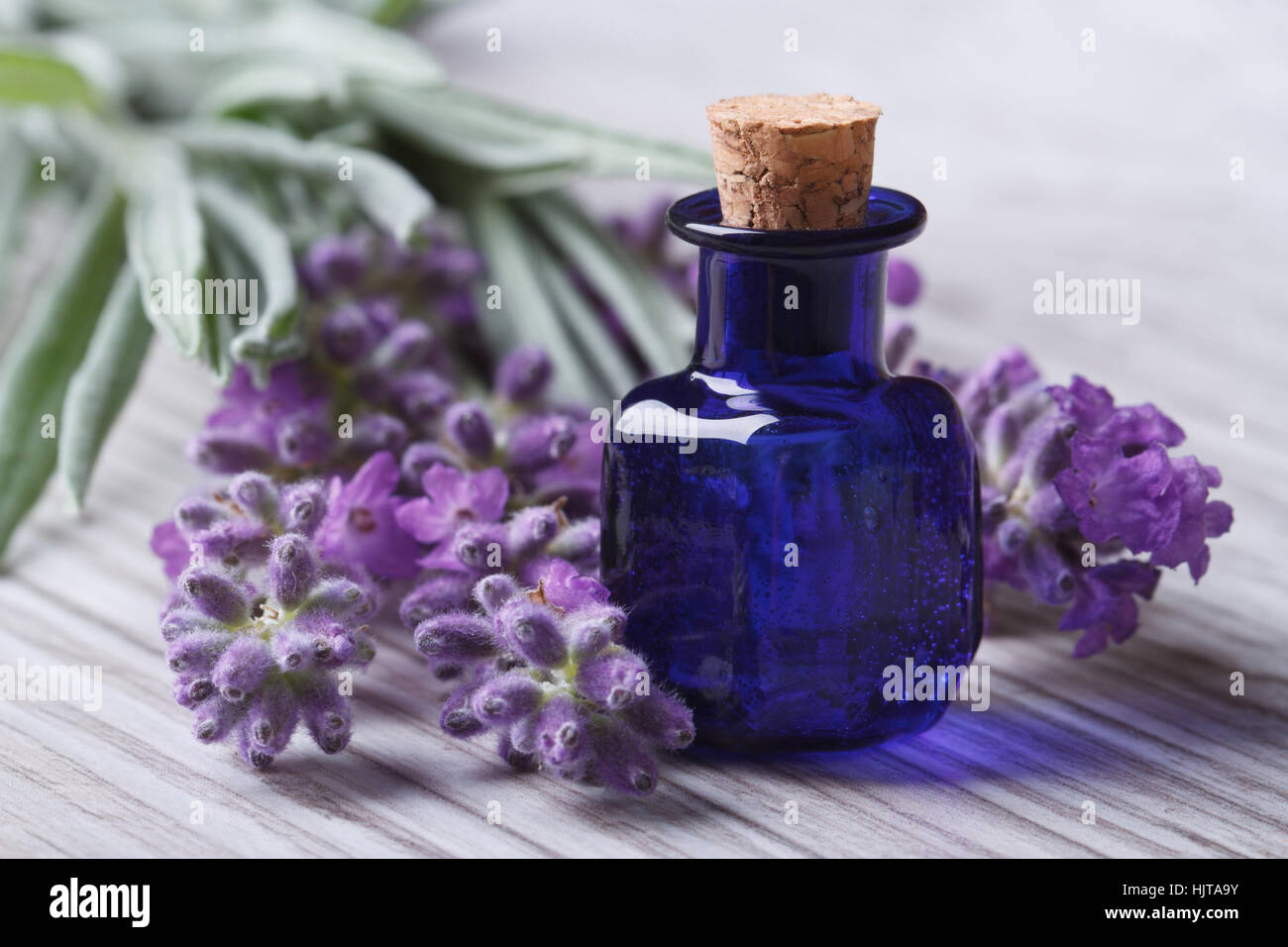 lavender oil in a blue glass bottle and flowers on the table. horizontal macro Stock Photo