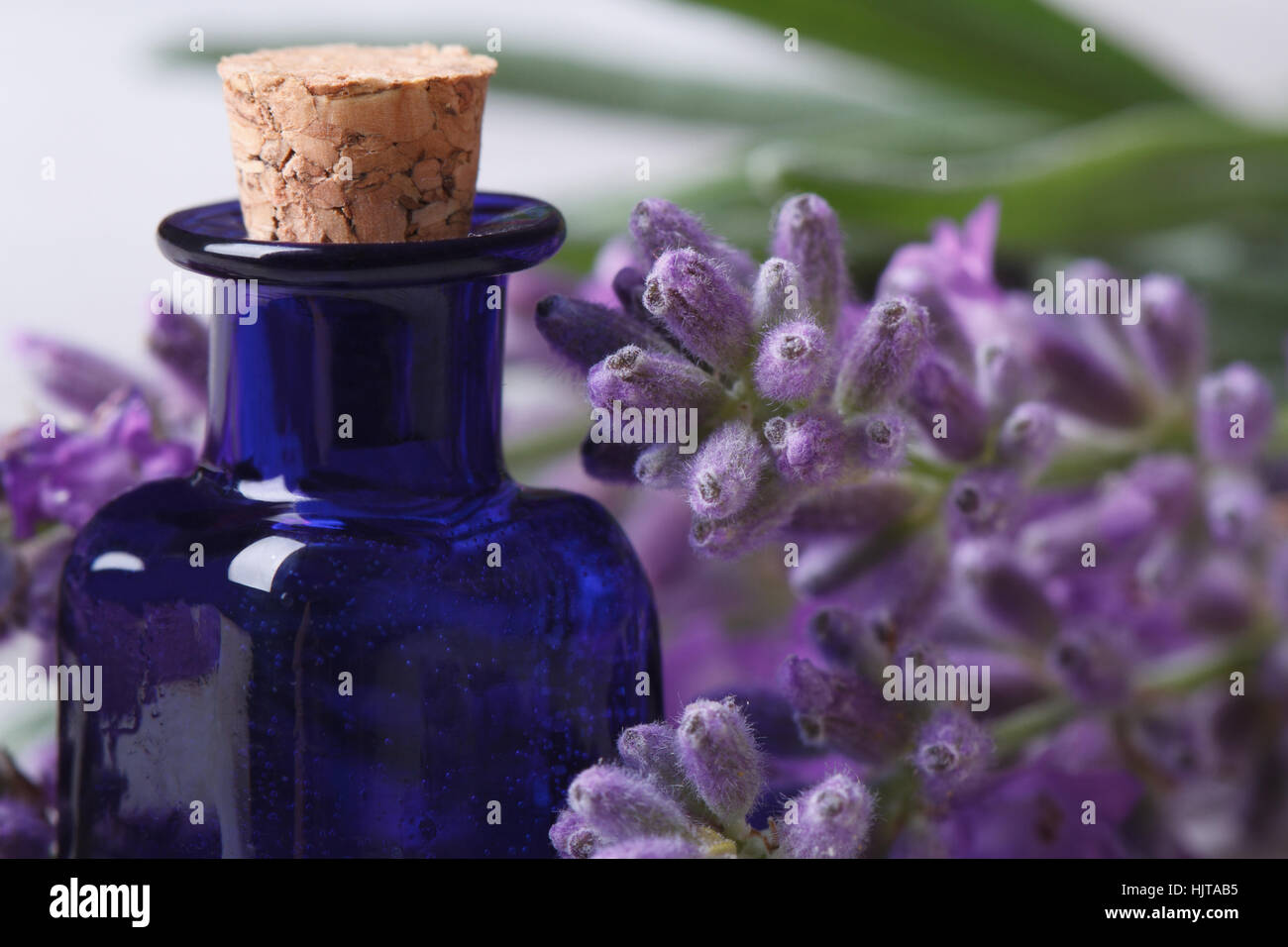 fragrant lavender oil in the blue bottle and beautiful flowers on the wooden table. horizontal macro Stock Photo