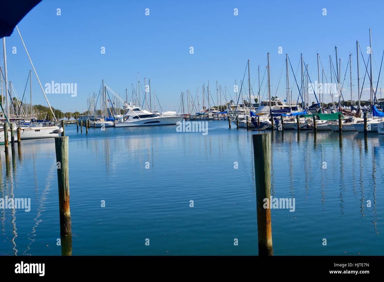 harbor in St Petersburg, Florida, USA Stock Photo Alamy