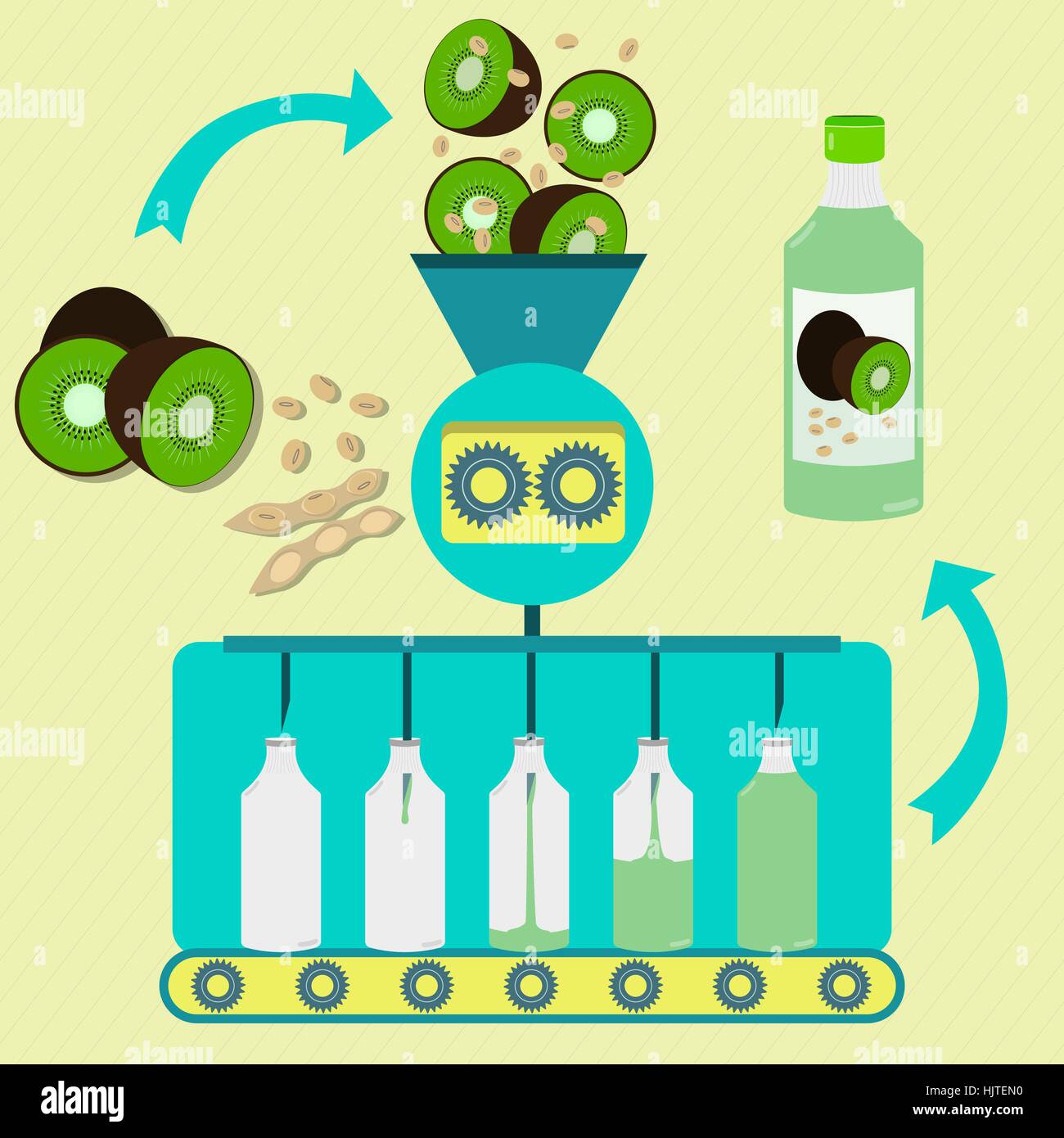 Kiwifruit and soy juice series production. Fresh kiwifruits and soybean pod with soy being processed. Bottled kiwifruit and soy juice. Stock Vector