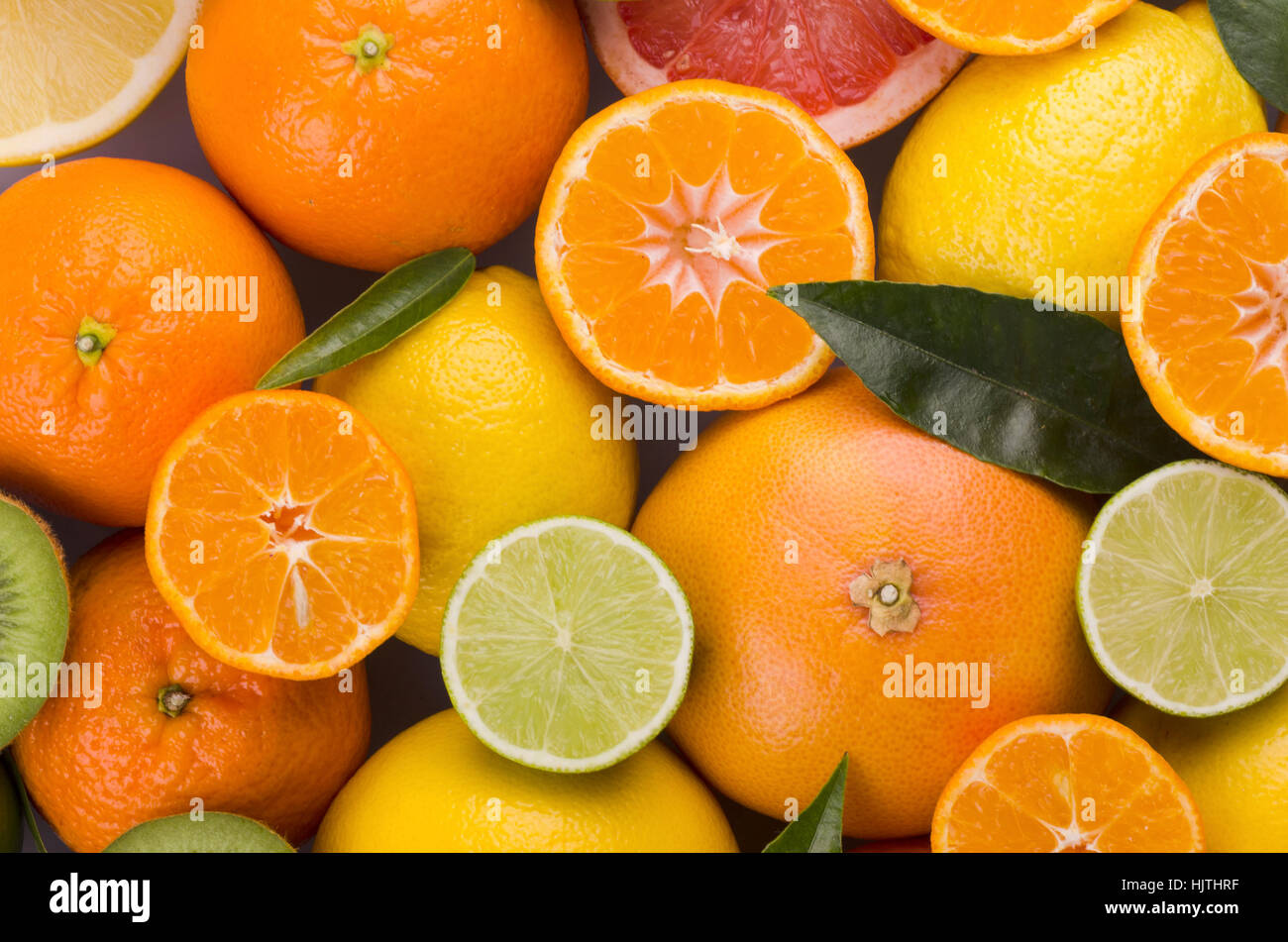 variety of juicy citrus fruits Stock Photo - Alamy
